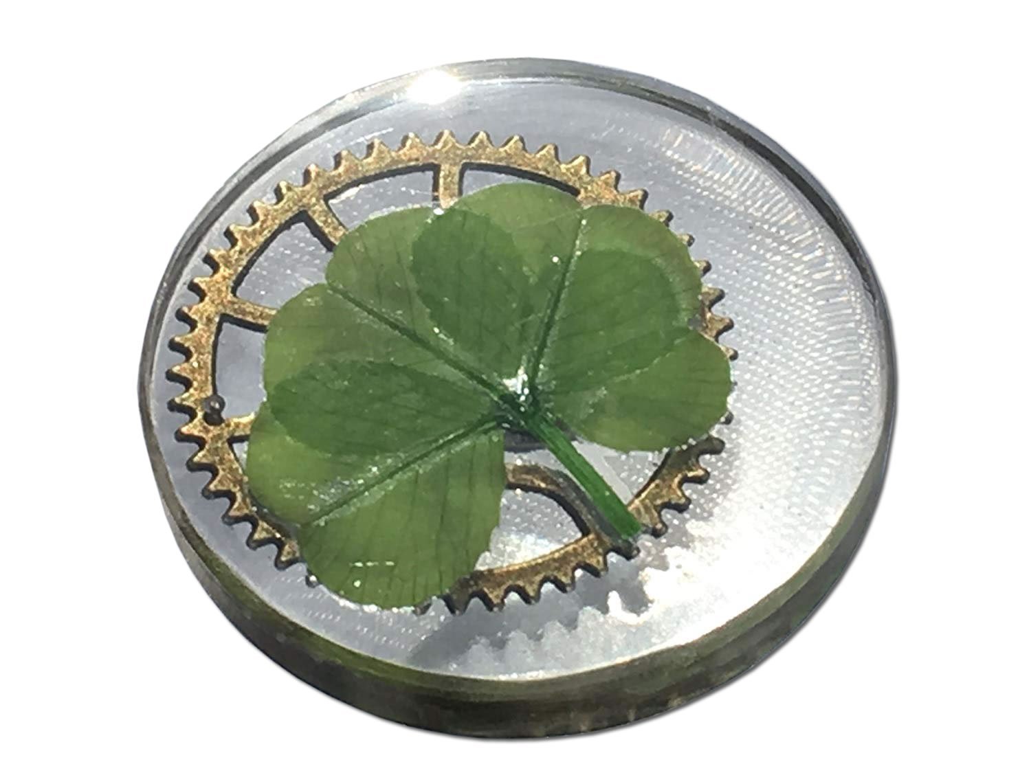 KIN-HEBI Real four leaf clover Good Luck Pocket Token, 3.2 cm (Large-image-4e90e678-950c-4687-8a2d-3b19b1d1c257-61522