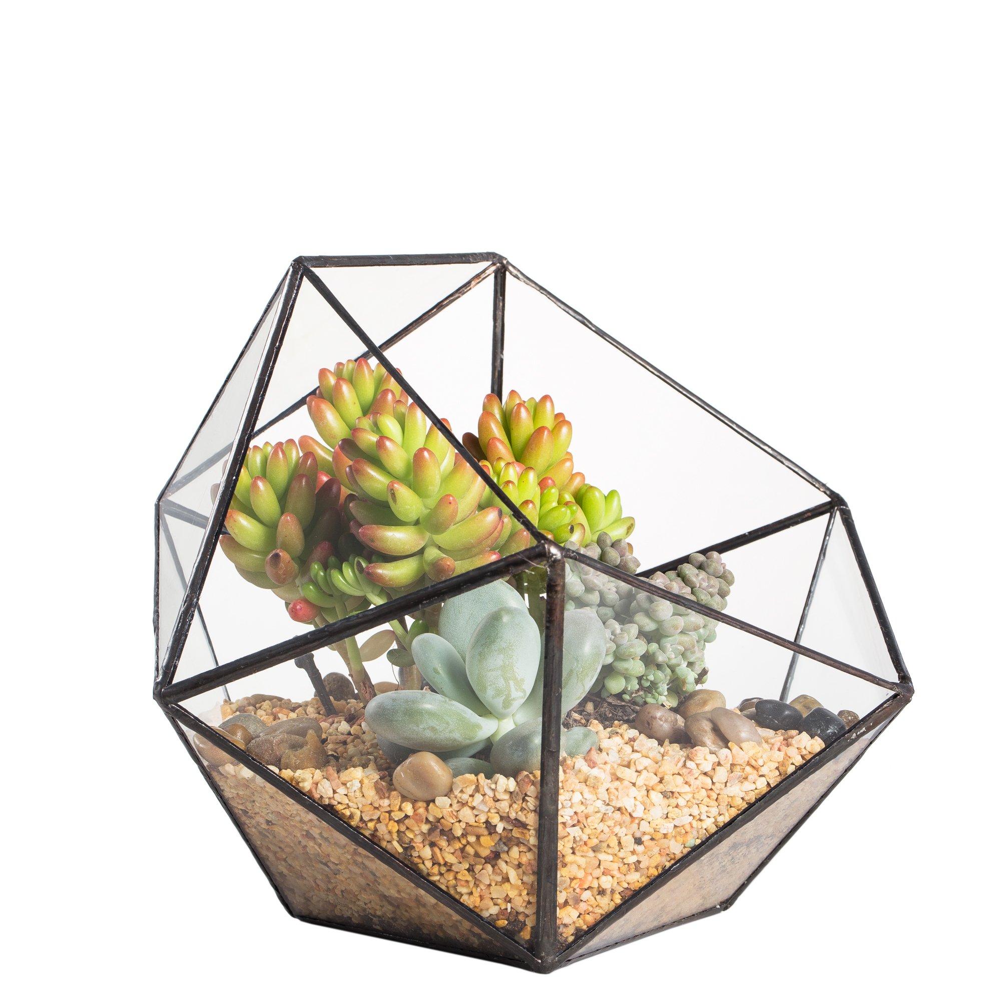 Glass Terrarium Bowl Planter - Black 17x17x17cm-image-beac8154-b177-4bf2-b21e-16ab3a156c5b-114258