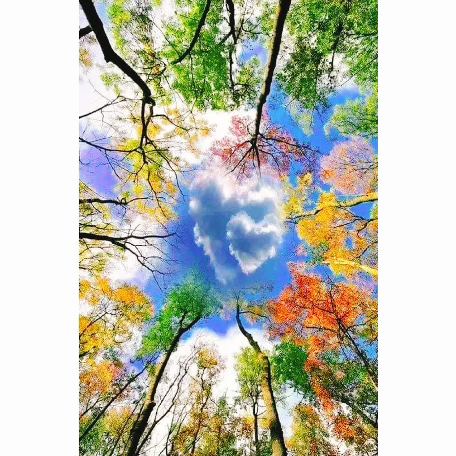 cukol cukol Colorful Trees Cross Stitch Kits for Adults, Pre 11ct 11-image-c029b2ff-087b-4266-86b2-0e8c01bb73bf-58703