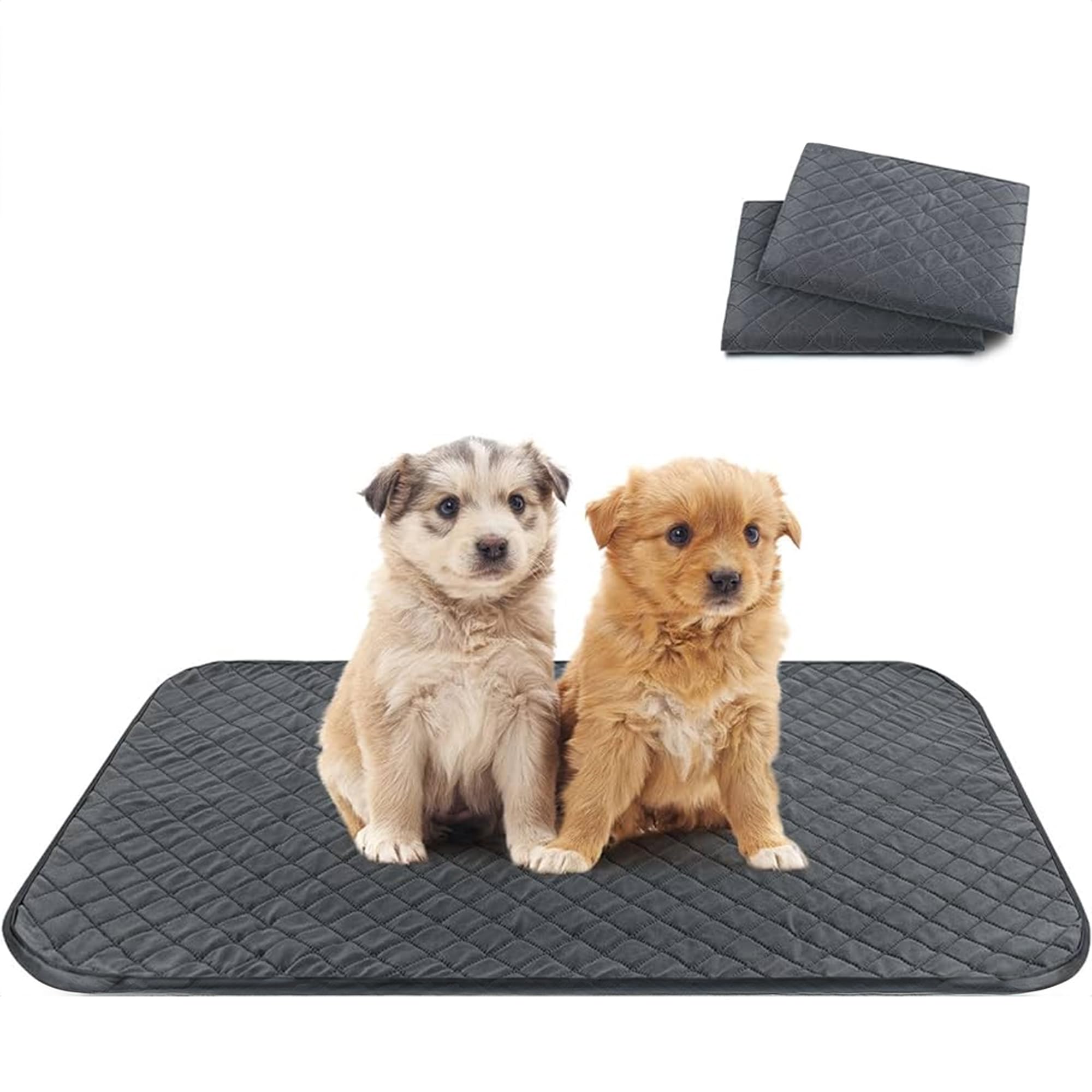 Techson Reusable Dog Training Pads (2 (60 x 45cm 23.6 x 17.7 inches)-image-48da2133-c70f-4078-85b6-7acb4cd4d63c-60847
