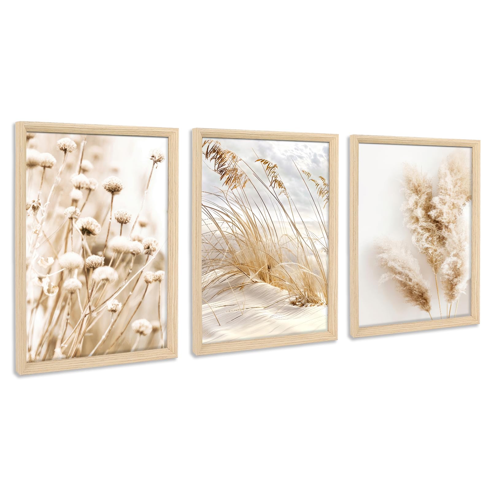3-Piece Framed Canvas Wall Art - Beige Dandelion & Pampas Grass 30x40cmx3-image-ea46c2eb-55d4-4fed-a502-b428e93b07a3-113556
