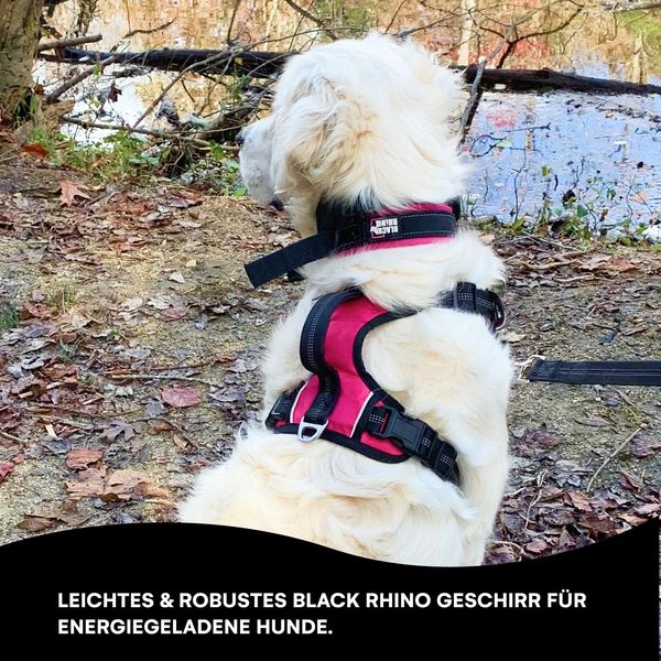 Black Rhino The Comfort Dog Harness With Mesh Padded Vest For