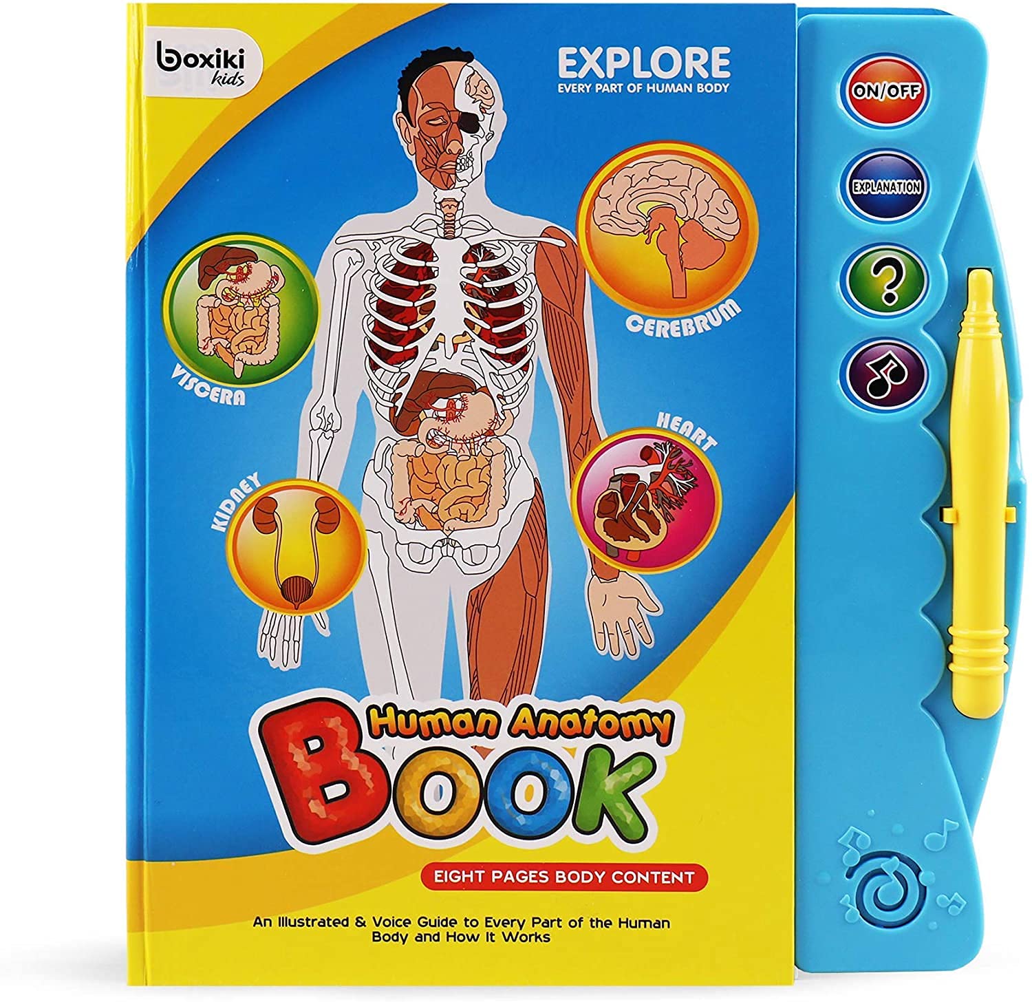 Human Body Activity Book - Ages 3+-image-b20f2551-9d9f-4467-8145-ad75c2048ae6-87472