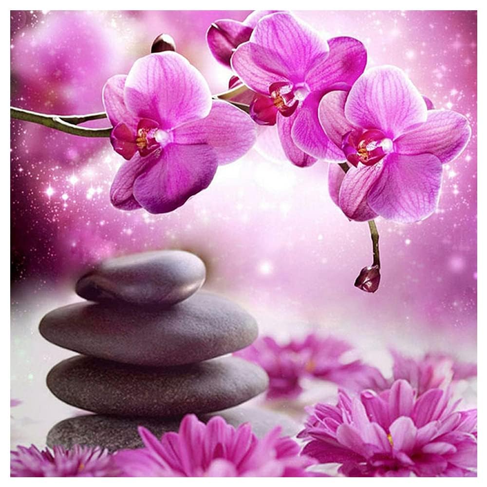 DIY Square Diamond Painting Kit 40x40cm 5D Rhinestone Orchid Phalaenopsis Mosaic-image-dcacab4f-61a7-4f70-9ee9-7085a561ef3a-57113