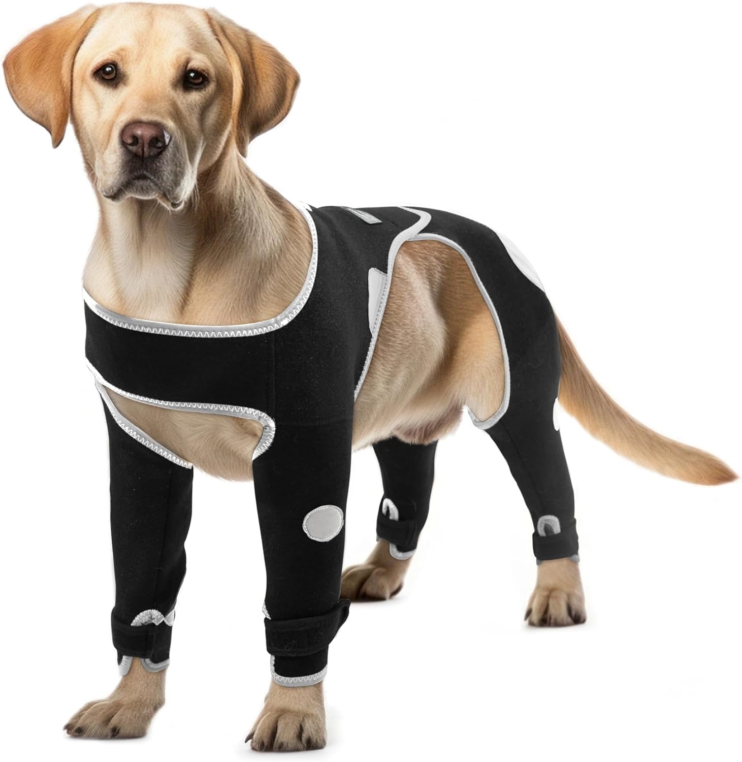 Dog Recovery Sleeve Waterproof - Black Small-image-a840fef7-07bd-45a9-8450-af46236f269a-110996