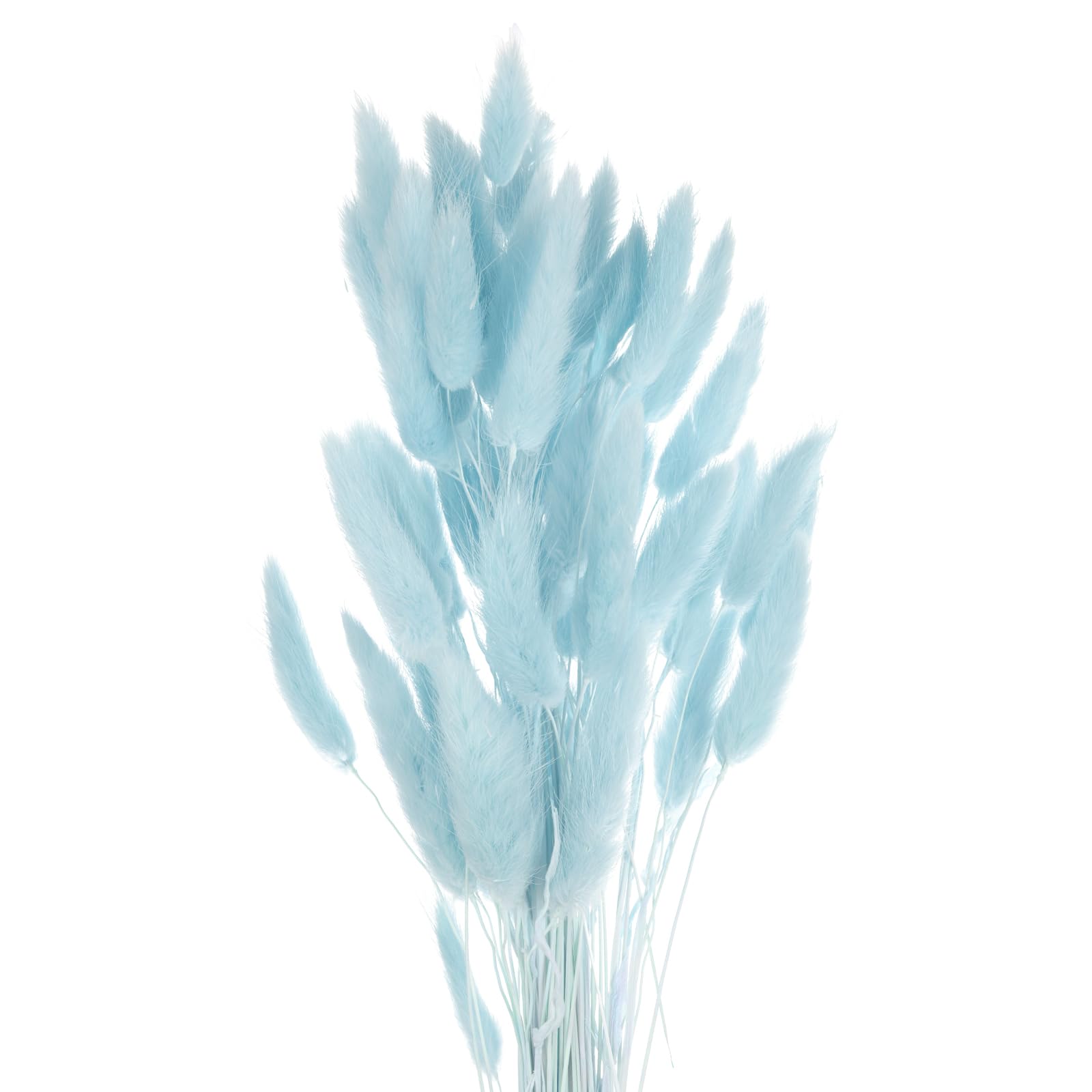 Dried Bunny Tails Decor 60pcs - Sky Blue 24"-image-721f7ef3-c4c4-4f82-97f4-f6101bbc7248-112400