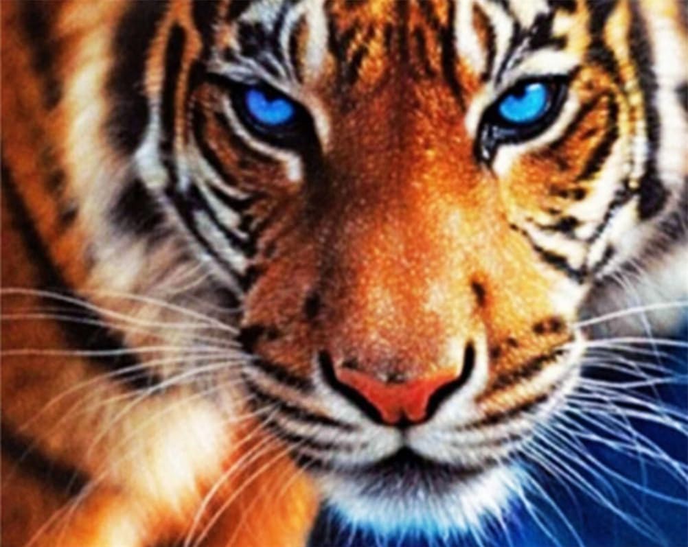 Meecaa Tiger Cross Stitch Kit 11 Count Stamped - Pre-Printed Embroidery Set with Accessories (40CMx50CM)-image-aab62d65-387e-4cfe-b7d5-de728de32207-55885