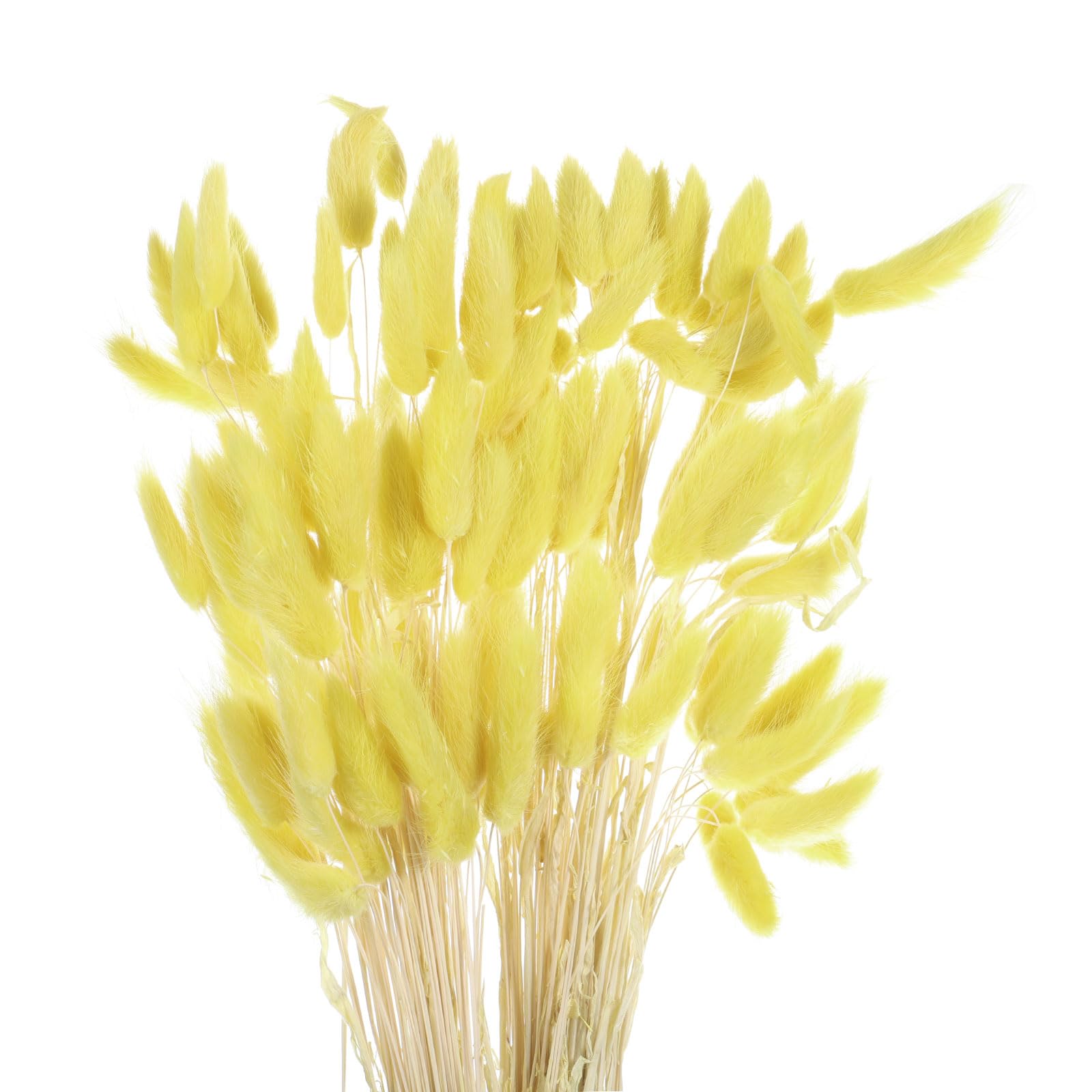 120pcs Dried Bunny Tails for Weddings & Home Décor - Lemon Yellow 24"-image-5fce07e8-8efc-4547-8fd7-2c6ea613696e-96875