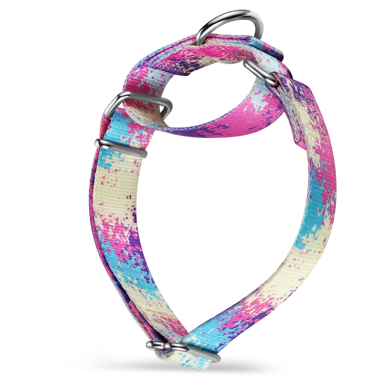 Martingale Dog Collars - No Pull, Silk Soft, Colourful Oil Painting for Medium & Large Dogs-image-f36967a9-efd2-42c5-892e-198cdbb056d6-66396