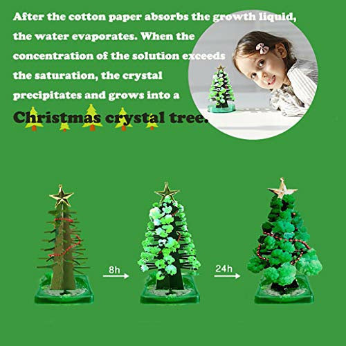 Magic Growing Christmas Tree Kit - 3 In 1 DIY Crystal Growing Science Toy For Kids