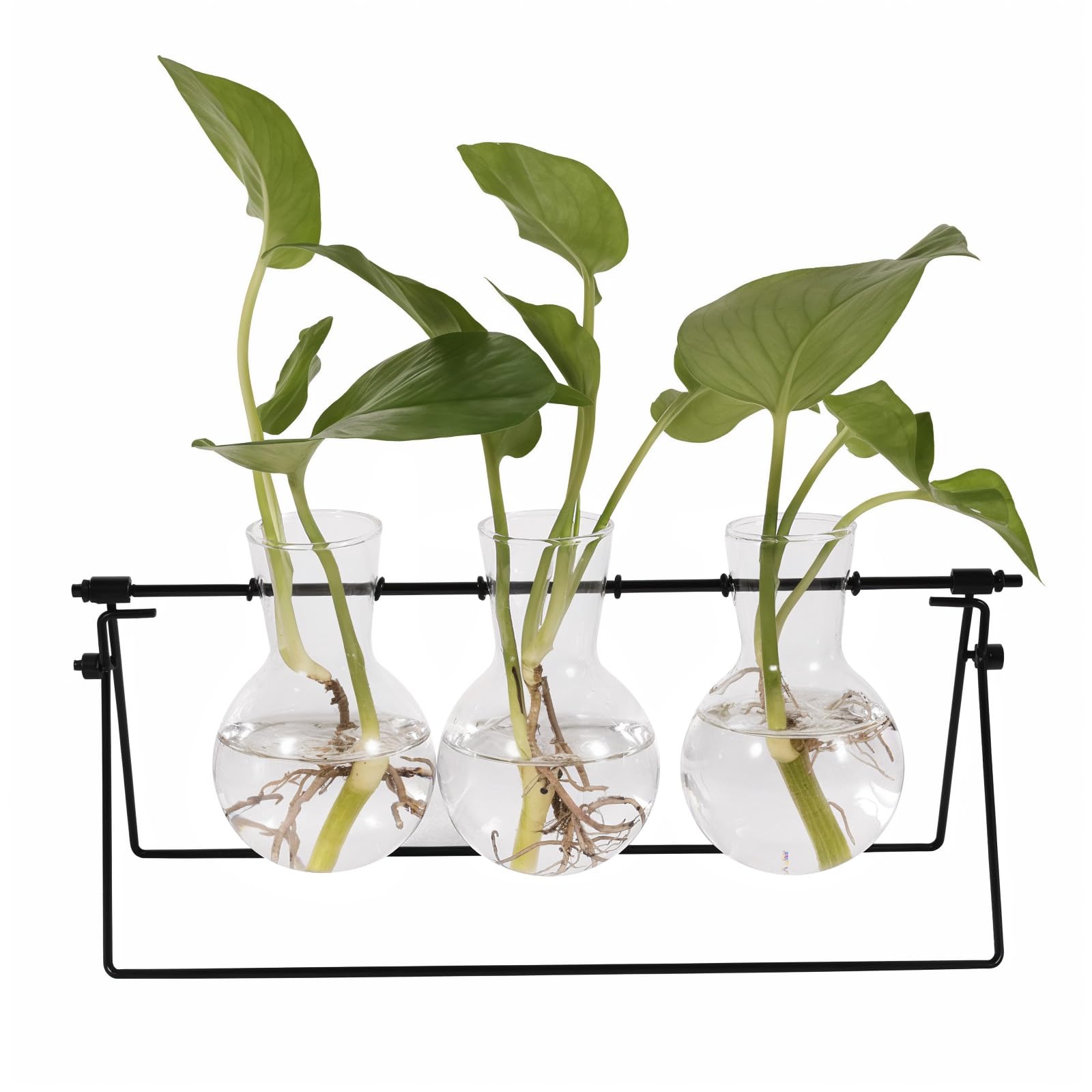 Stylish Plant Terrarium with Metal Stand & 3 Glass Vases for Home Décor or Propagation-image-af7d7a37-6a61-4bed-bd7e-ecd47b206ac5-68052