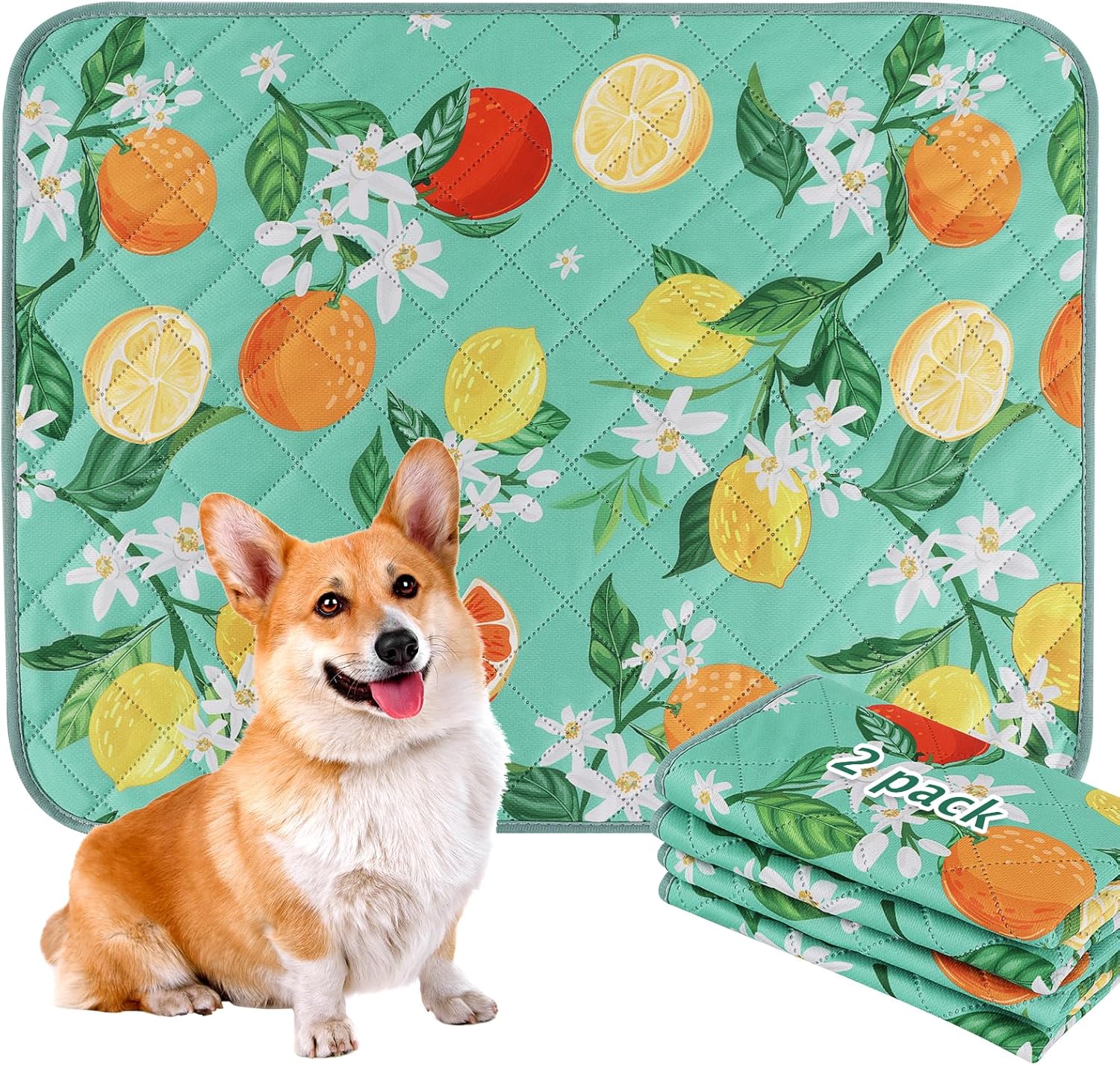 Washable Dog Pee Pads 2 Pack - Green Lemon 90x90cm-image-5a9b09f5-37a8-41cb-98b0-be66a0b7bc40-110564