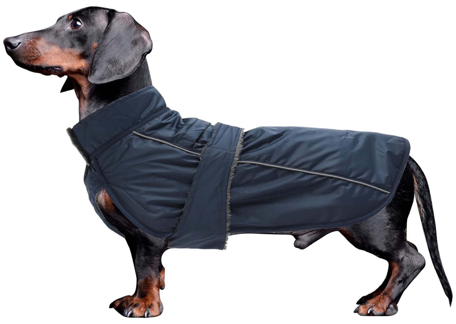 Waterproof Dog Coat Fleece Lined - Navy M-image-602f506b-0c5a-4c5f-ac1f-06c4aaa735b9-108316