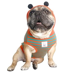 Dog Bumble Bee Costume - Orange Bee Large Plus-image-bd430e93-1a66-4001-9189-31a5477e41f2-122134