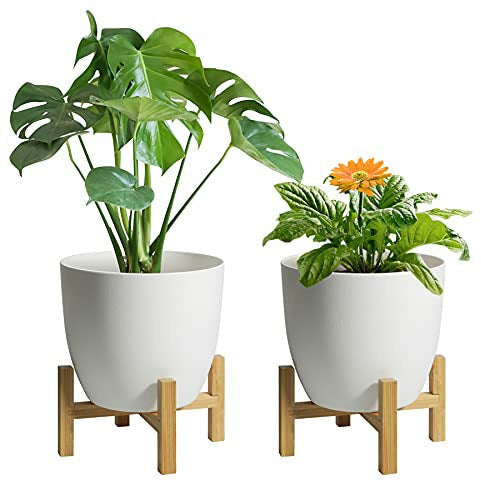 T4U Self Watering Planter Pot Round Green 6.5 Inch Set of 6, Plastic Plant Pot with Visual Water Level Window Indoor Decorative Garden Flowe(並行輸入) Near Me T4U Self Watering Hanging Planter Pot With Watering Hole 8