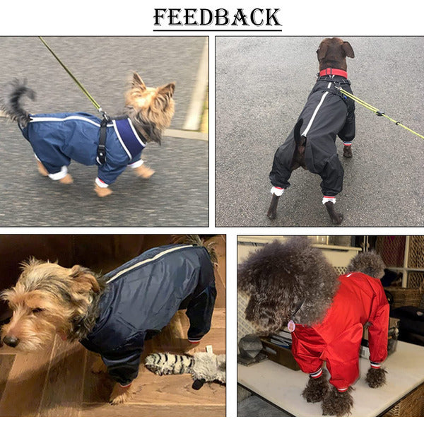 Trespaws Coat Trespass Dog Jacket Trespass Dog Jacket Trespass