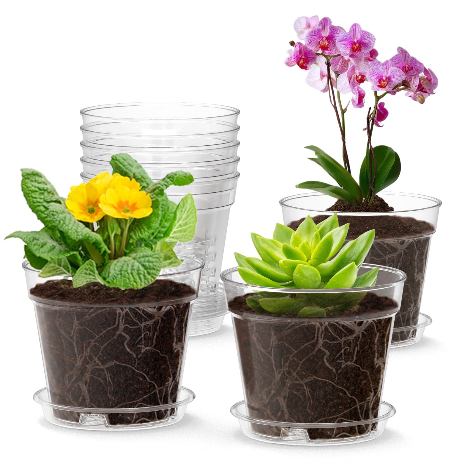 Clear Plastic Plant Pots with Holes - Transparent 3Inch-30Psc-image-bf4d6353-e80c-402f-add5-61855a979ede-105037