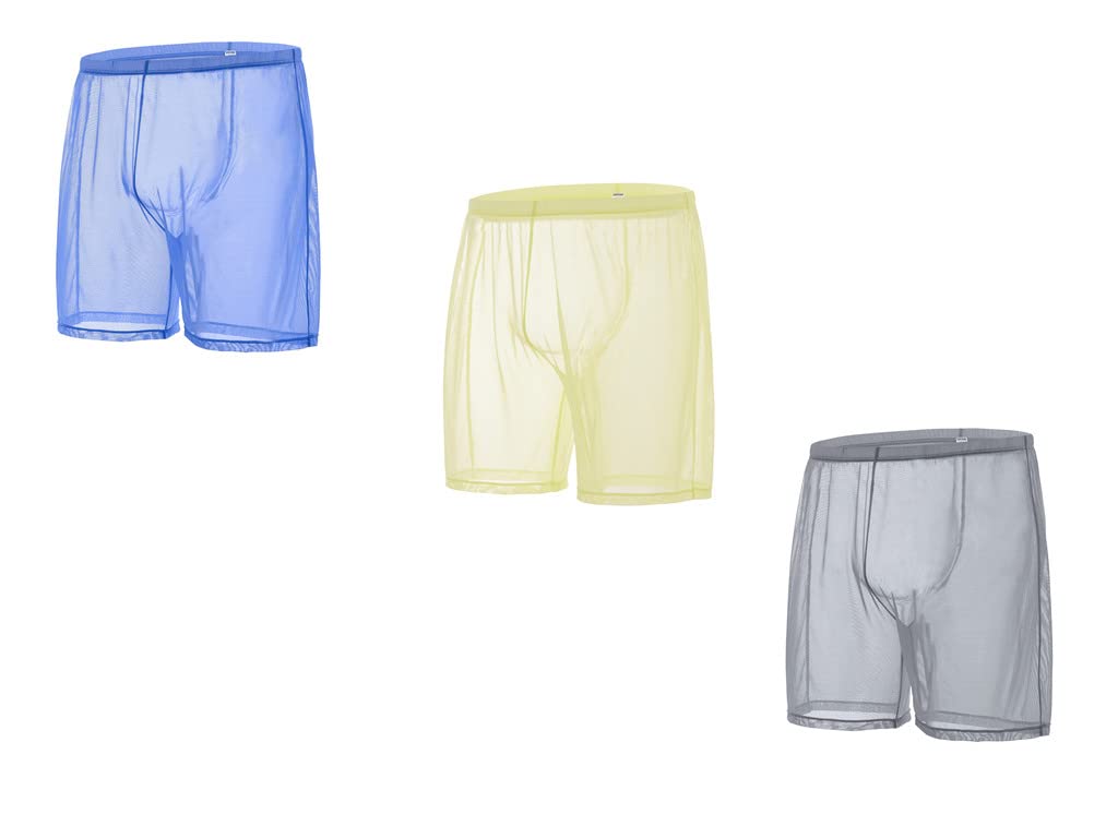 Men's Mesh See-Through Boxer Trunks - Size L-image-f360ba33-76a5-4888-9e26-857a57185091-92374