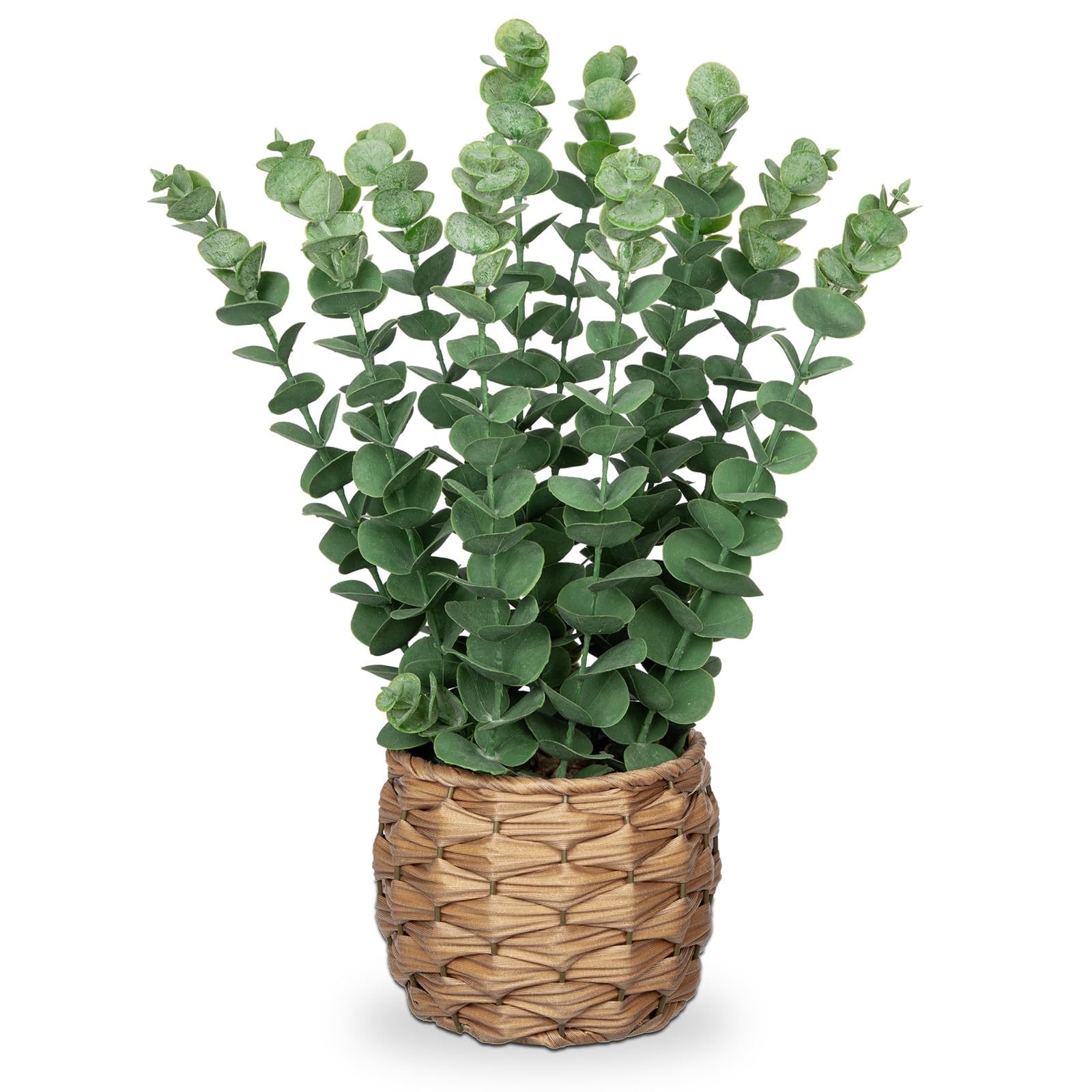 Artificial Eucalyptus Plant - 39cm Frosted Green-image-c4217b10-ce8d-4032-b062-1d285e7cfeed-84866