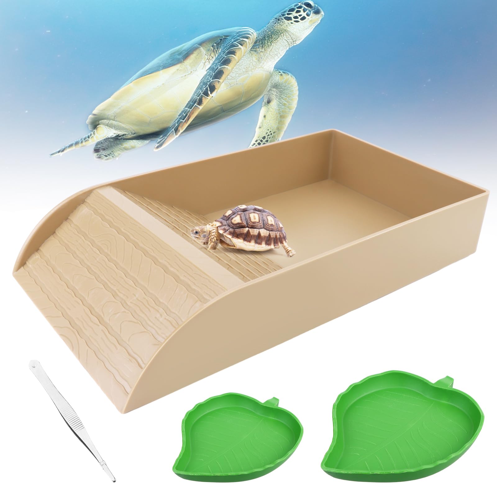Reptile Feeding Dish with Ramp - Colour B-image-92945006-2516-47b0-81e5-ba55aceb9d57-110166