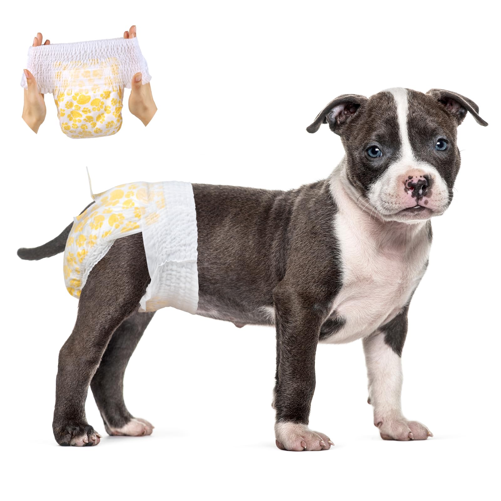 Flying Paws Female Dog Nappies M-15, Leakproof Disposable Diapers, 360° Stretch Waistband, Medium Size 28-44 cm-image-d5475e22-c889-4aee-951e-f3a4d1f89150-65865