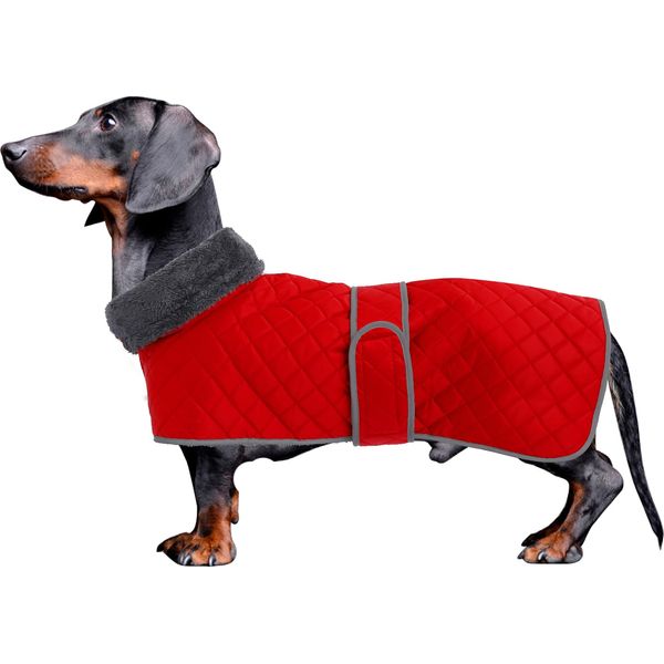 Dachshund dog coats sausage jacket perfect for dachshunds, Red XLarge