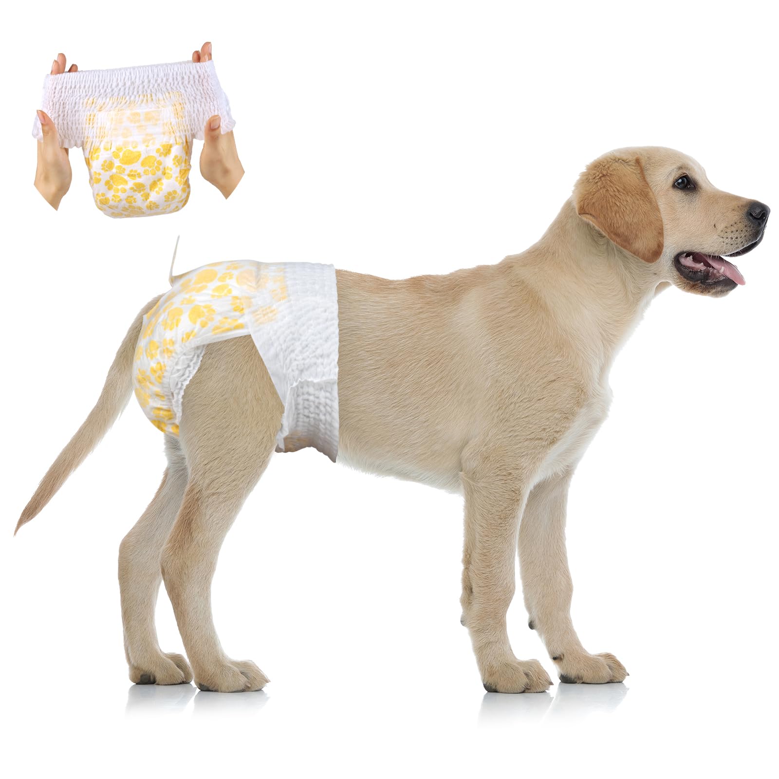 Large Pull-On Disposable Dog Nappies for Female Dogs, 15 Count, Leakproof & Comfortable Fit-image-c350e84b-d848-49a7-8227-0e9d9ae55c00-65864