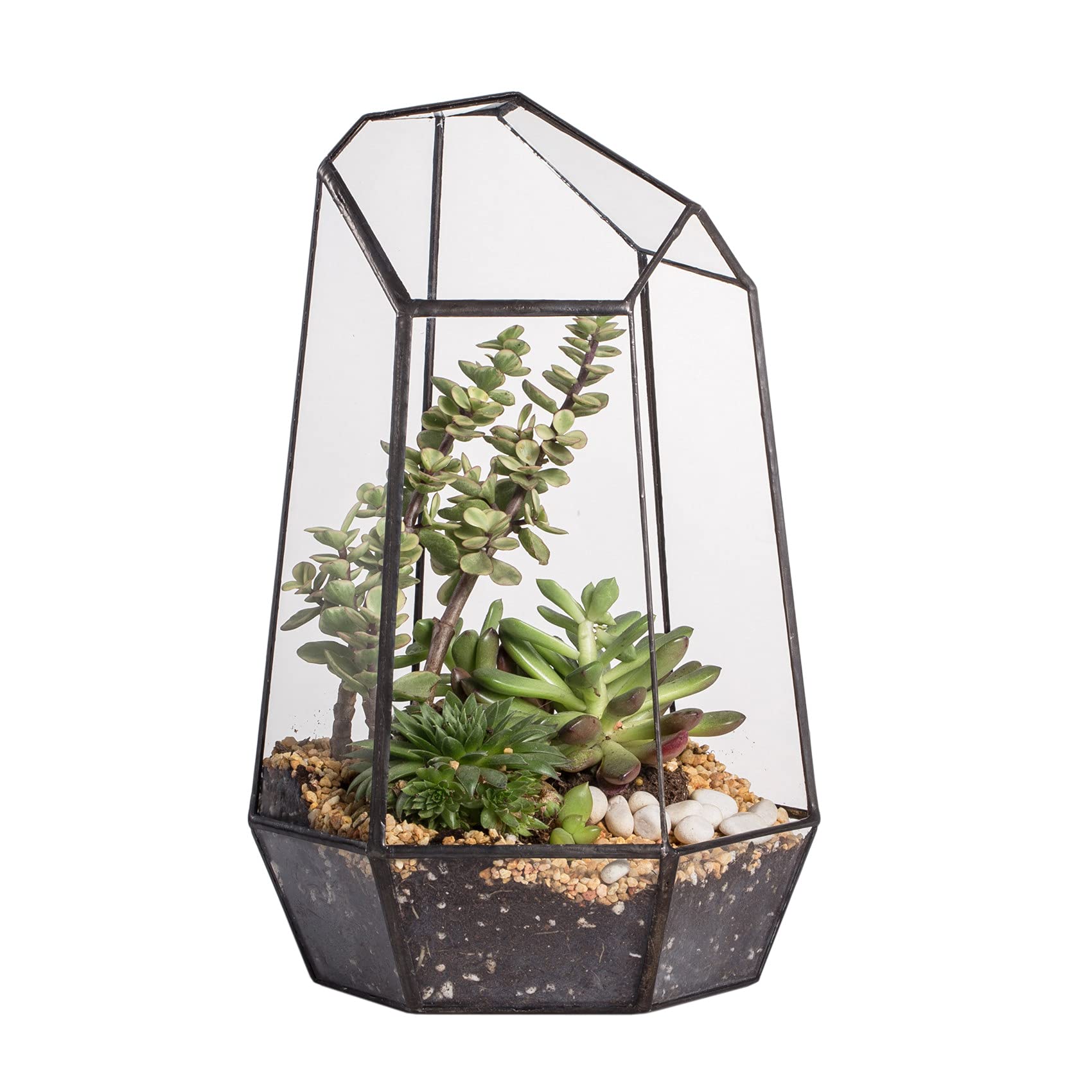 Geometric Glass Terrarium Planter - Black 16.5x14.5x25cm-image-08ce6cc2-f654-4f6b-80c0-a3855d6c0648-82448