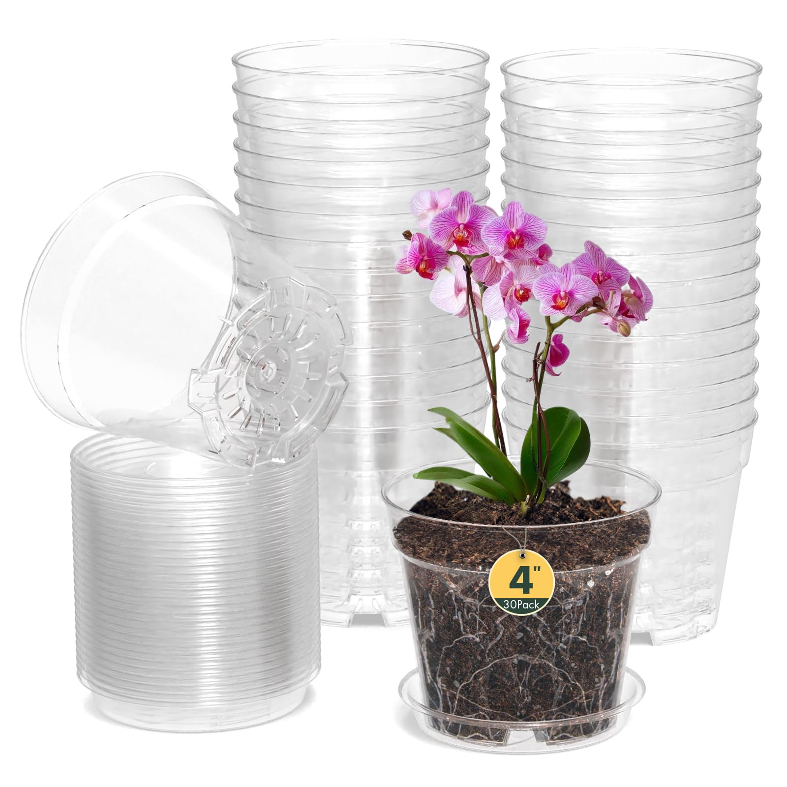 Clear Plastic Plant Pots 30Pcs - Transparent 4Inch-image-dd585aa4-c70d-46ac-8b94-423c980b38e6-105063
