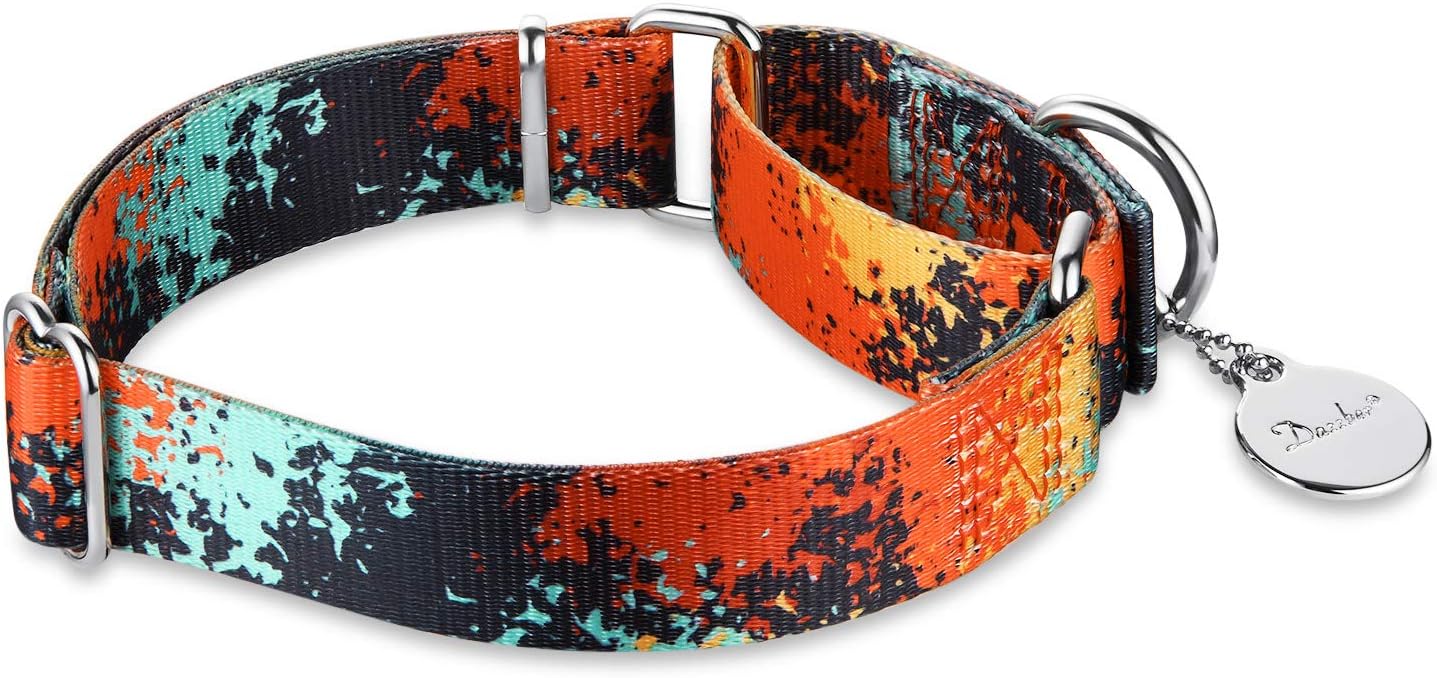 Martingale Dog Collar - Colourful Oil Painting, No Pull, Silky Soft-image-e511bd5c-7353-4c9d-a3f6-927e048e55df-66392