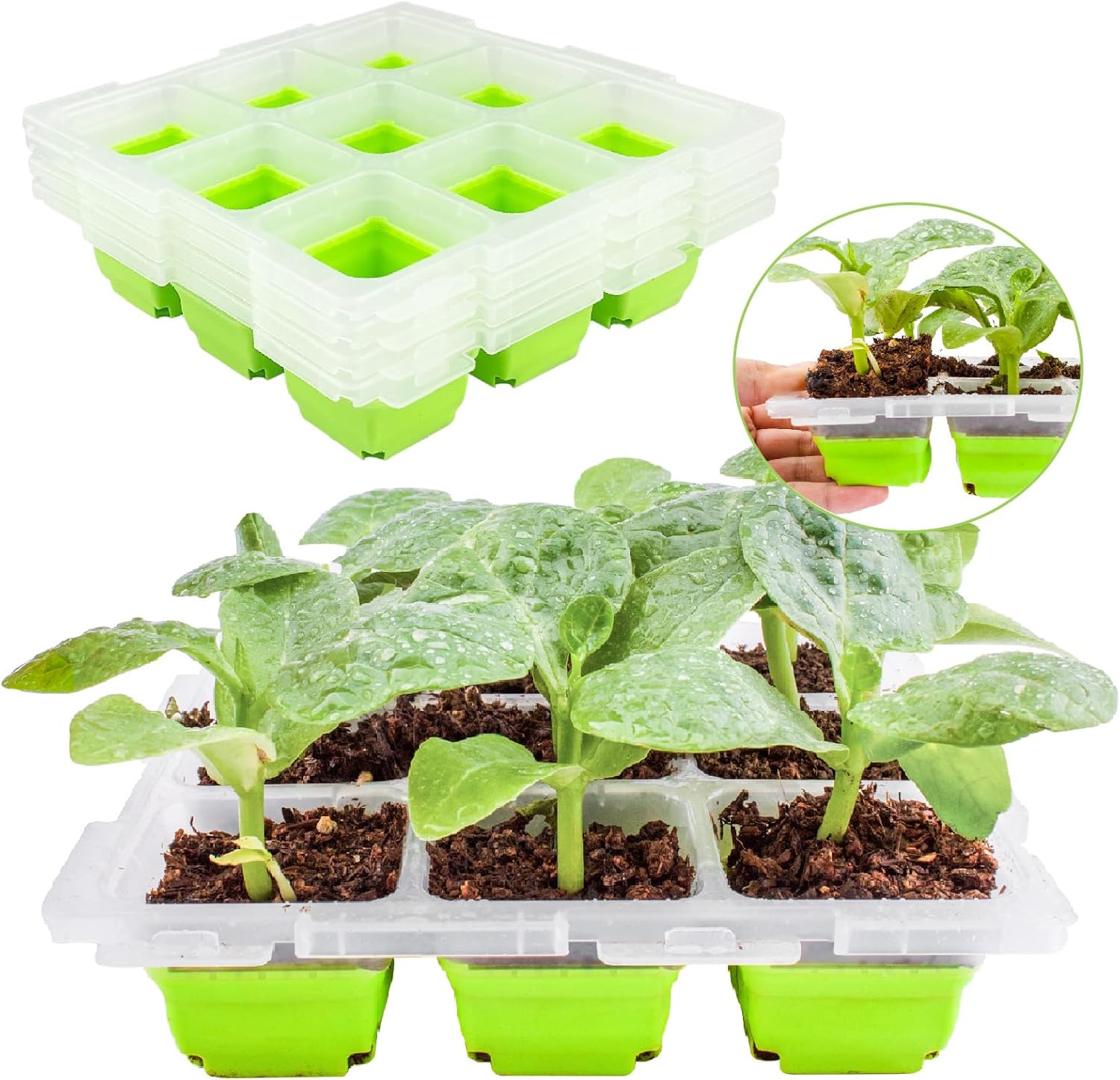 4-Pack 36-Cell Reusable Seed Starter Trays for Vegetables-image-ca84c0cd-401b-4efe-9176-23345be65a19-53775