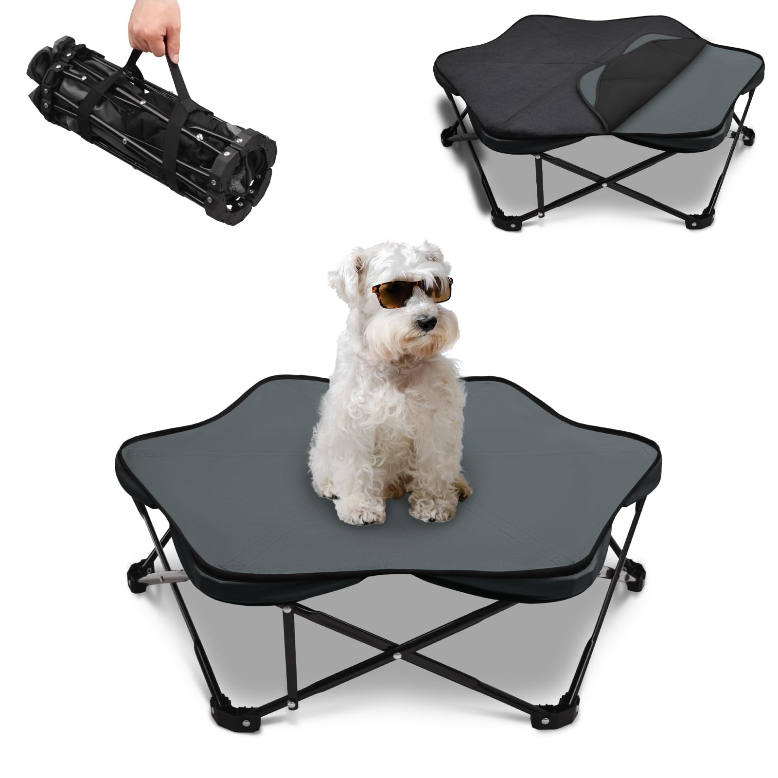 Elevated Foldable Dog Bed - Black Small-image-9f86e69b-cc61-40f2-8200-731f86960966-110889