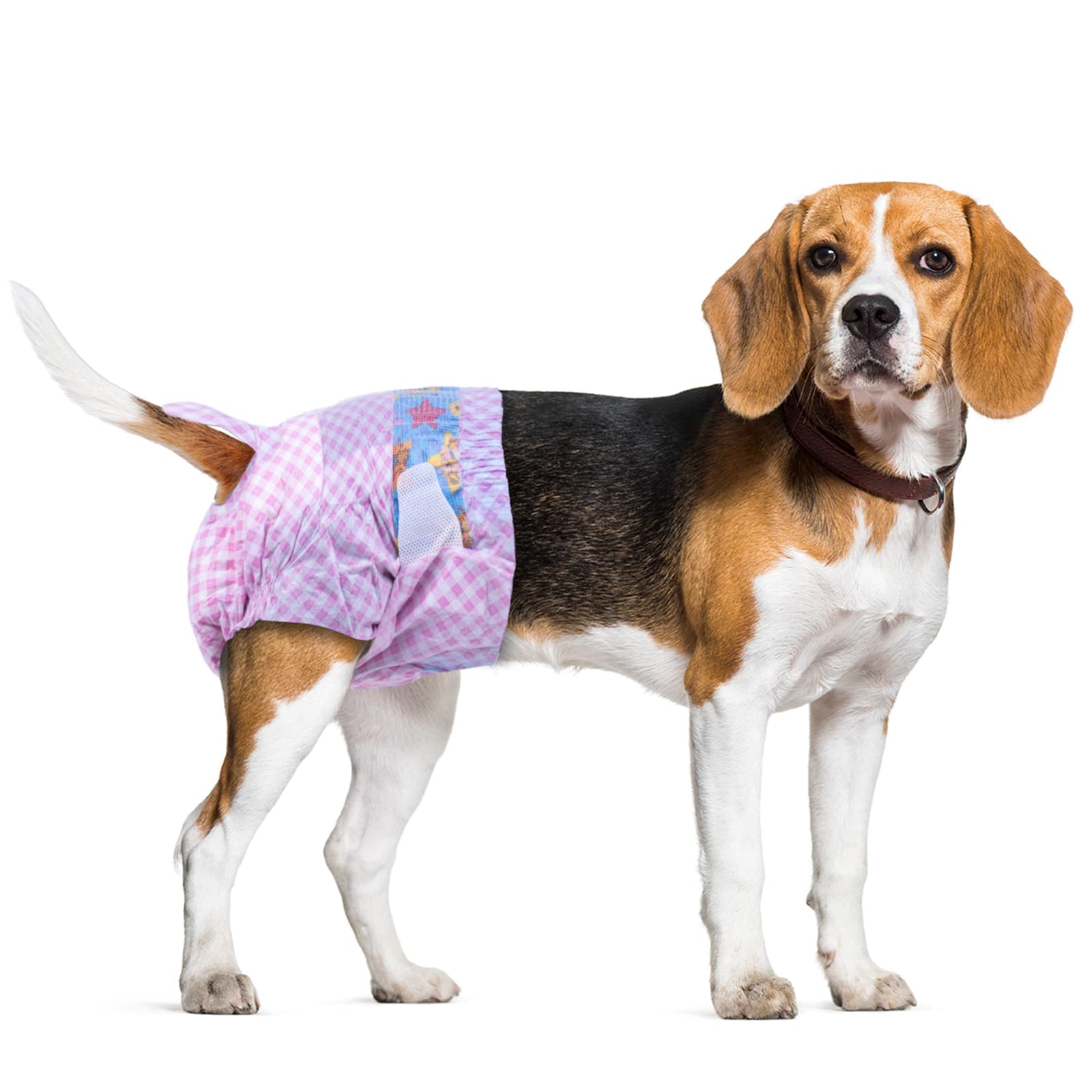 Flying Paws Female Dog Nappies S-20, Super Absorbent, Wetness Indicator, Small Size 26-46 cm