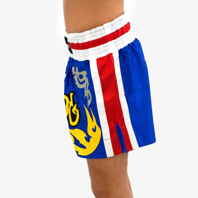 Forza Muay Thai Shorts - XL-image-648c531b-35f6-44a2-98c9-5f2b44e0c6c1-268863