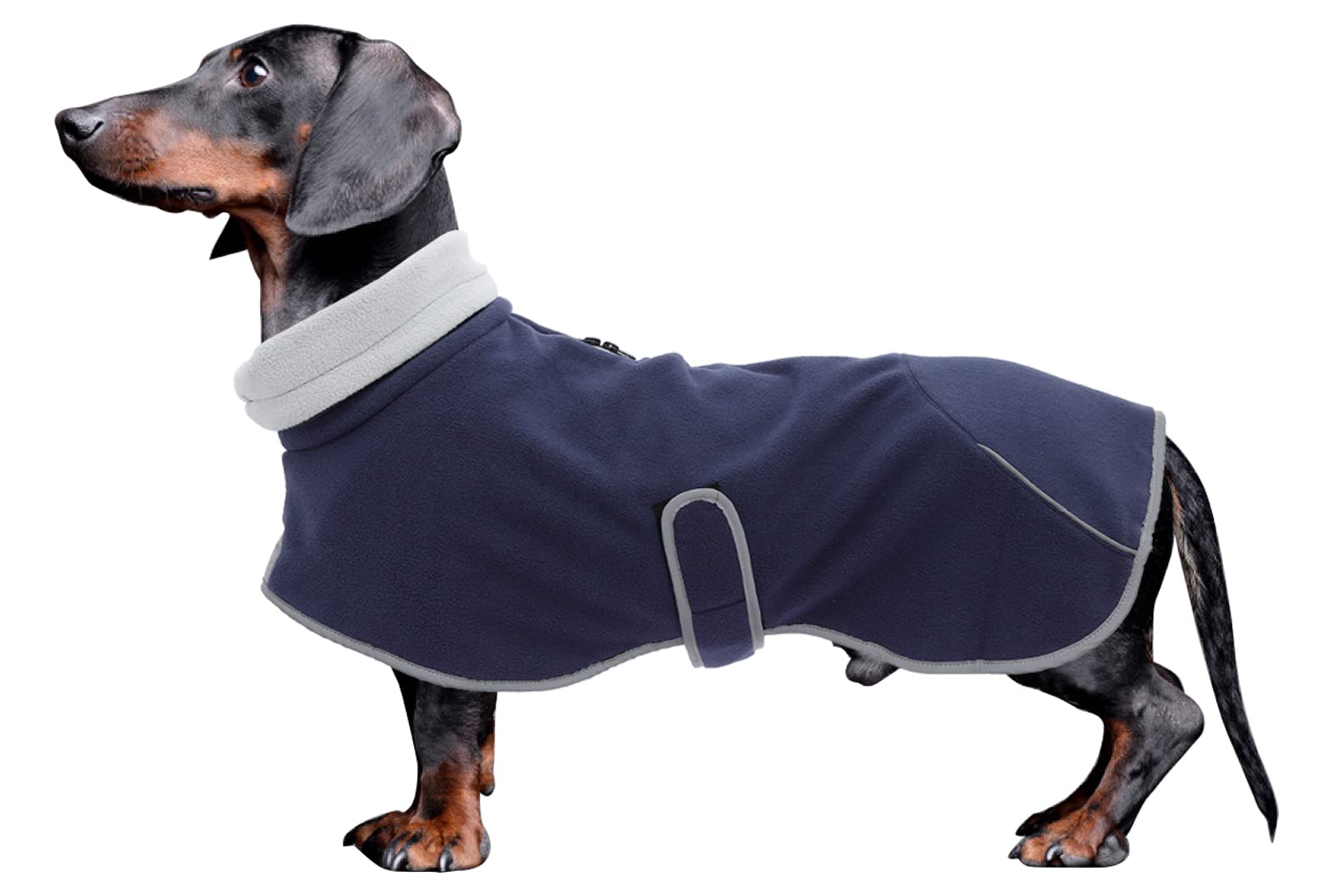 Dog Fleece Winter Coat - Navy Large-image-437770dd-a617-46cd-993e-a9ac69273b9d-126109