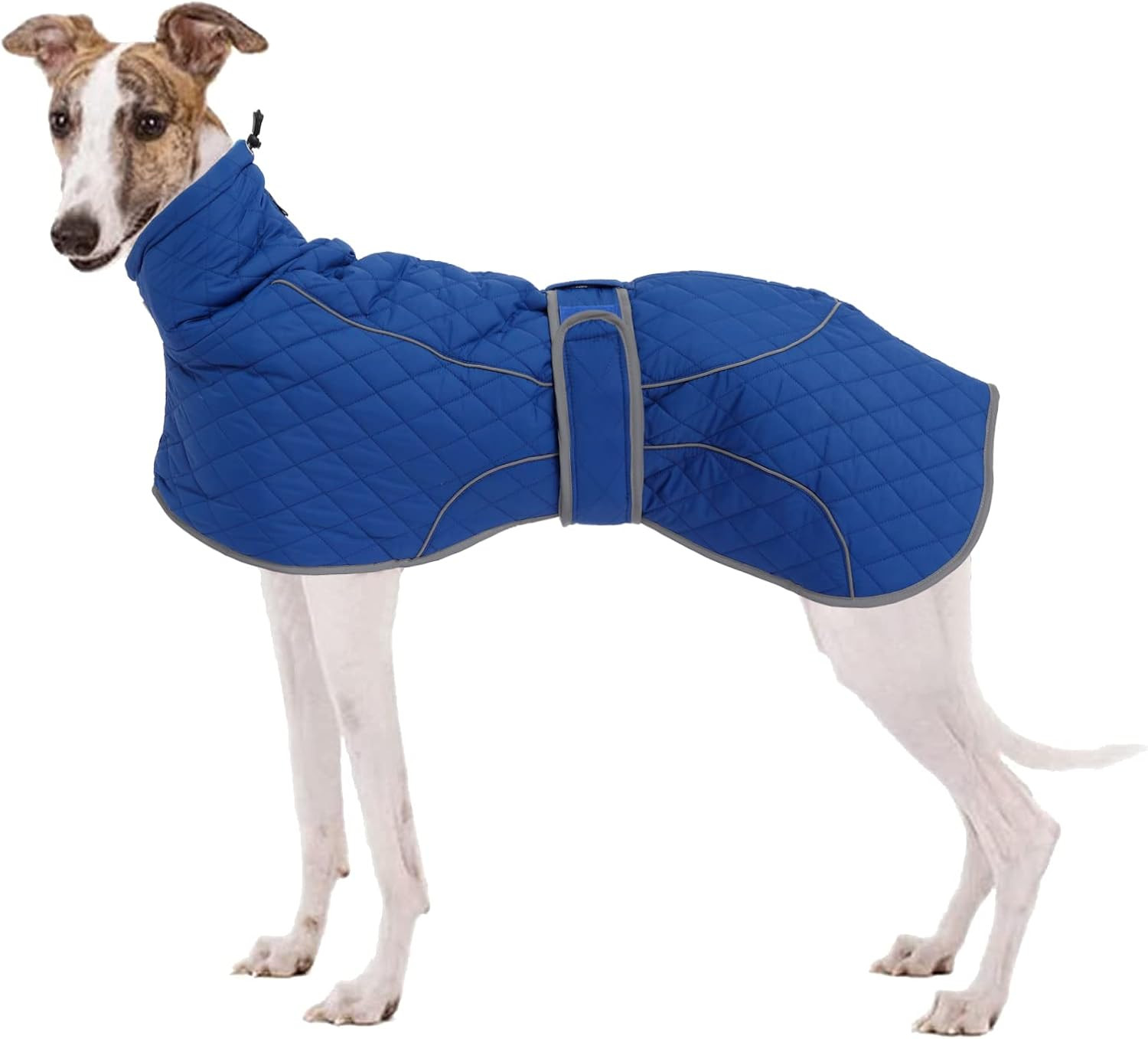 Dog Winter Coat Fleece-Lined - Blue Plaid XXXL-image-e29082ae-c77d-4aba-9eeb-6823df38f391-107402