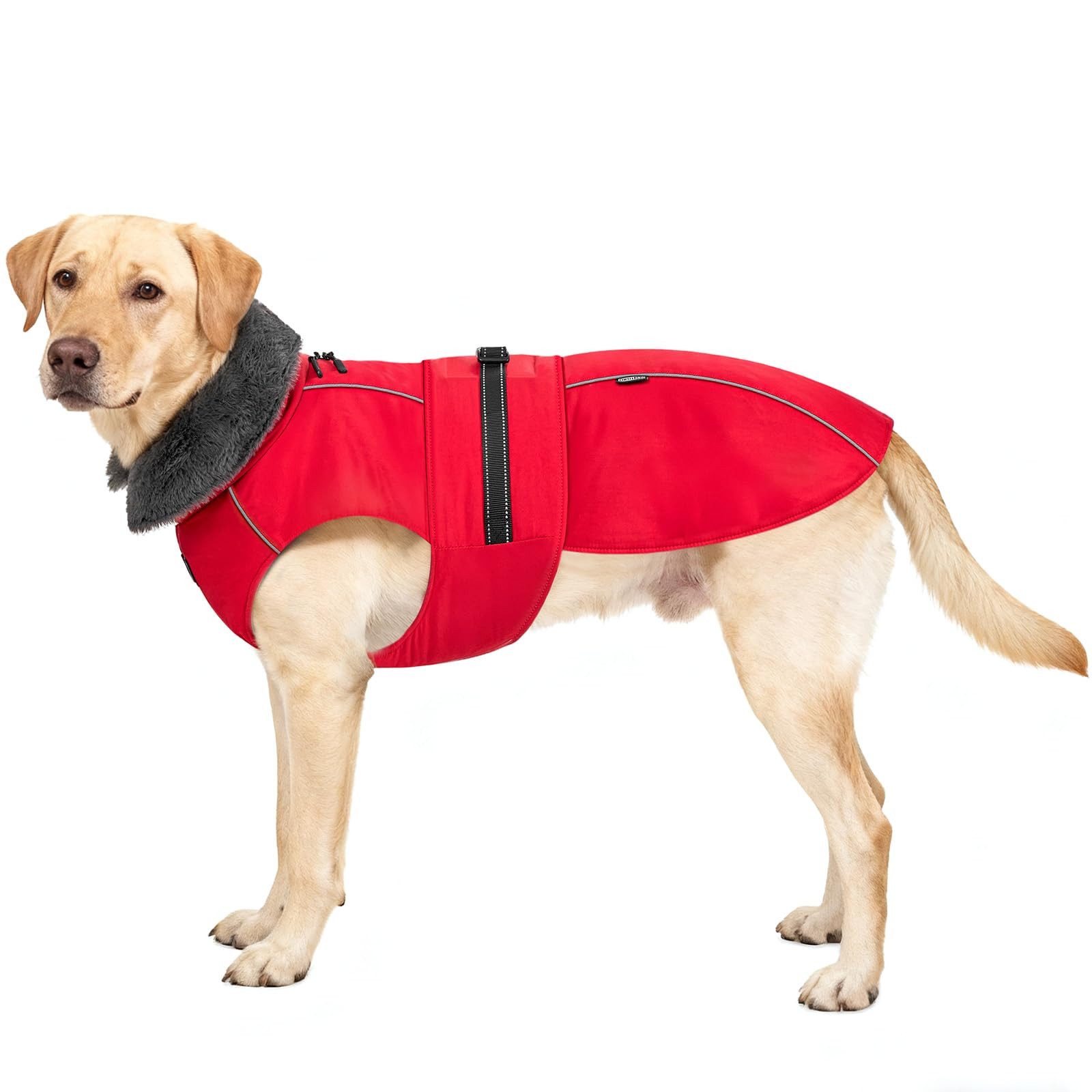 Dog Winter Coat Waterproof Harness - Red L-image-1678e6a1-5a16-4795-ab4c-4637dc2fe47a-268430