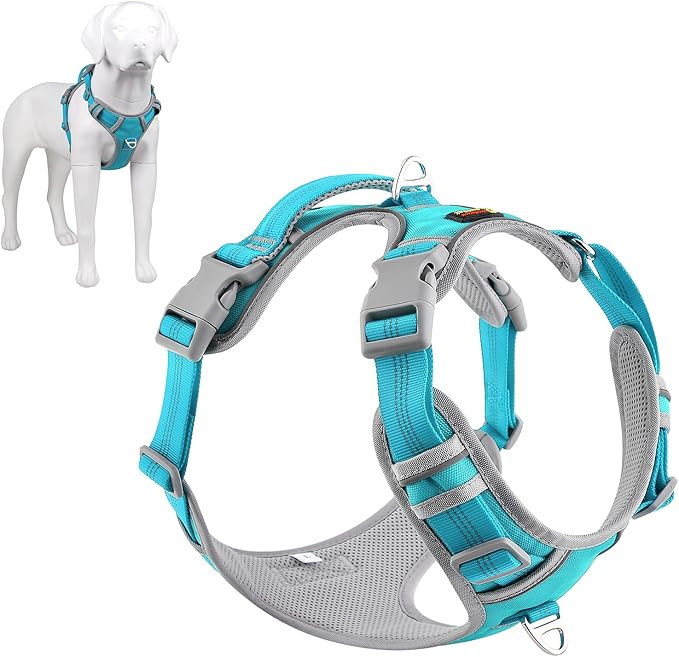No Pull Dog Harness Reflective Vest - Cyan XL-image-8d2304ec-9714-4bc8-956e-08f2386ea8f7-117500