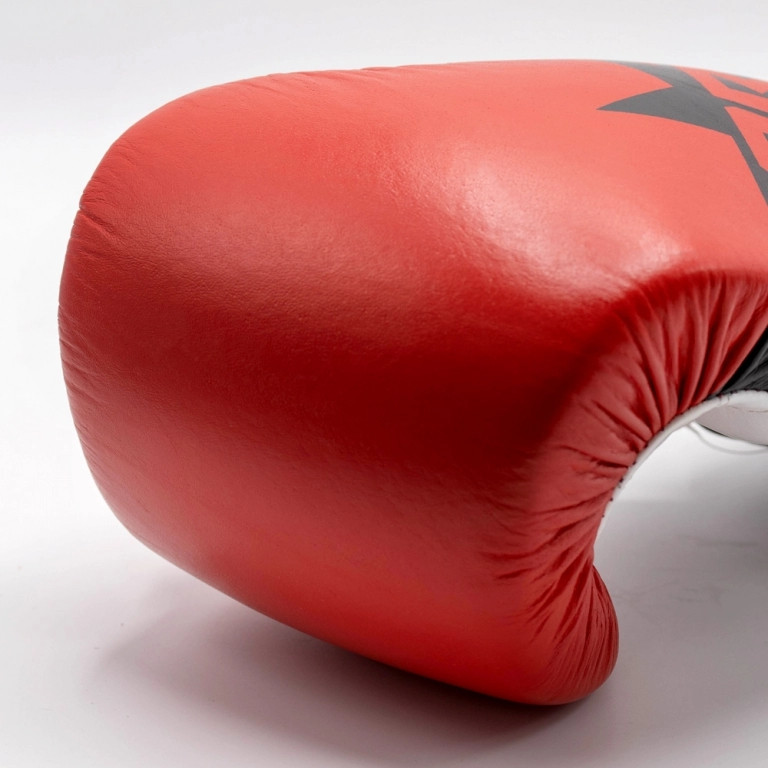 Forza Star Boxing Gloves - Leather - 14oz-image-38ea9b10-3a78-487f-a4d4-91888f783978-268529