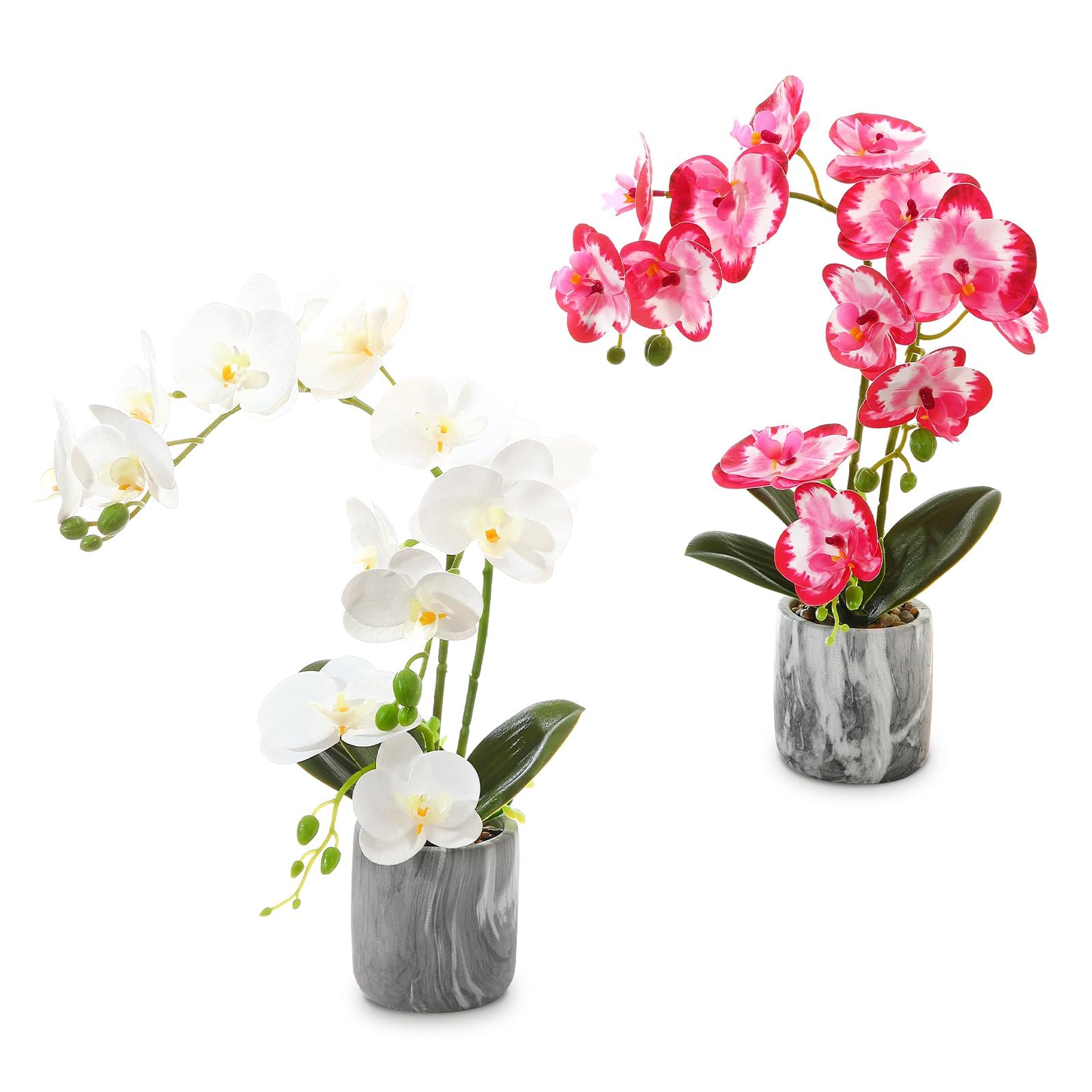 Faux Silk Orchid Décor - 2 Pot Red White Large-image-b2f66f4c-c866-46bc-b0d6-2a5afa6dbf07-125567