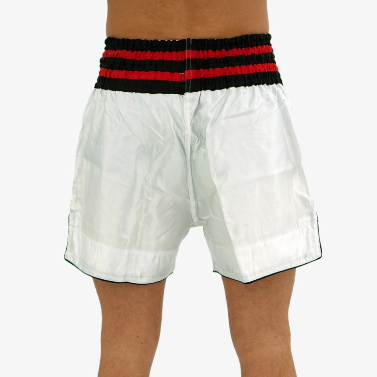 Forza Muay Thai Shorts - Large-image-da884249-4759-4fda-b2ee-64fbca7ab691-268866
