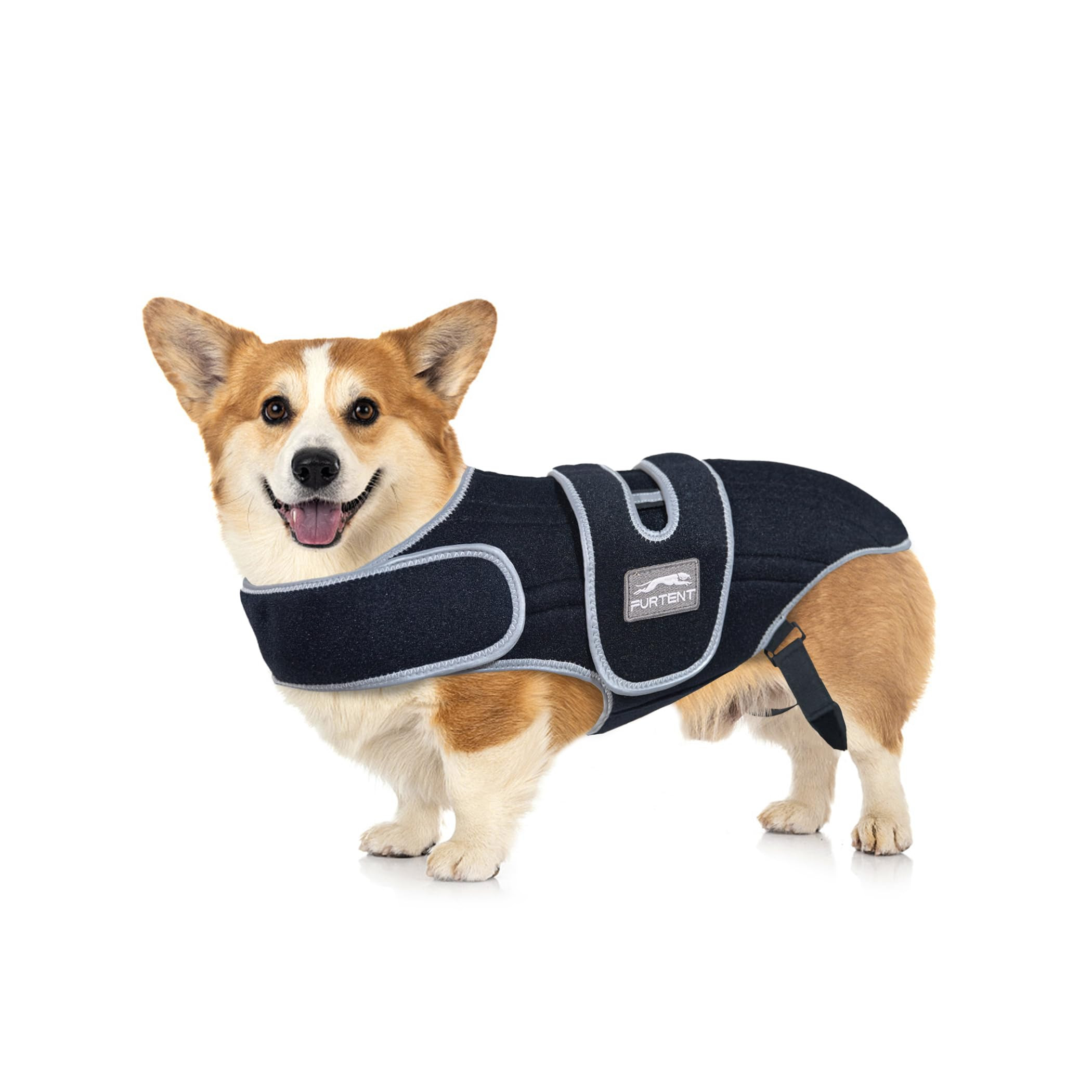 Dog Back Brace IVDD Support - Dog Back Brace M-image-e8c5fb26-39af-4499-9793-c9081cddc749-137505