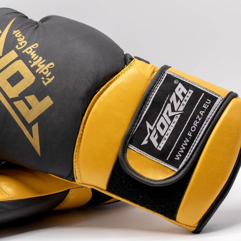 Forza Advanced Boxing Gloves - Leather - 14oz-image-a395cf70-c350-4032-bea7-bb8146337763-268489