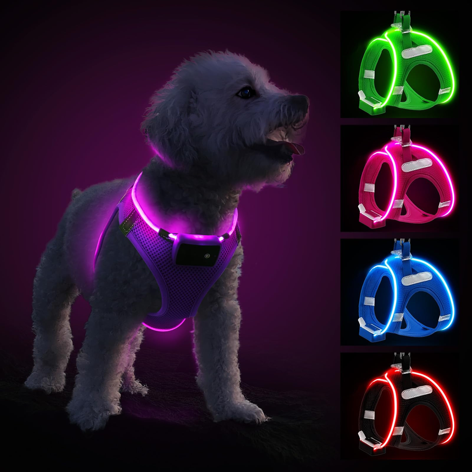LED Light Up Dog Harness Waterproof - Purple XS-image-aa0c8337-a7ef-4103-a14b-ad3b7bf478c1-136151