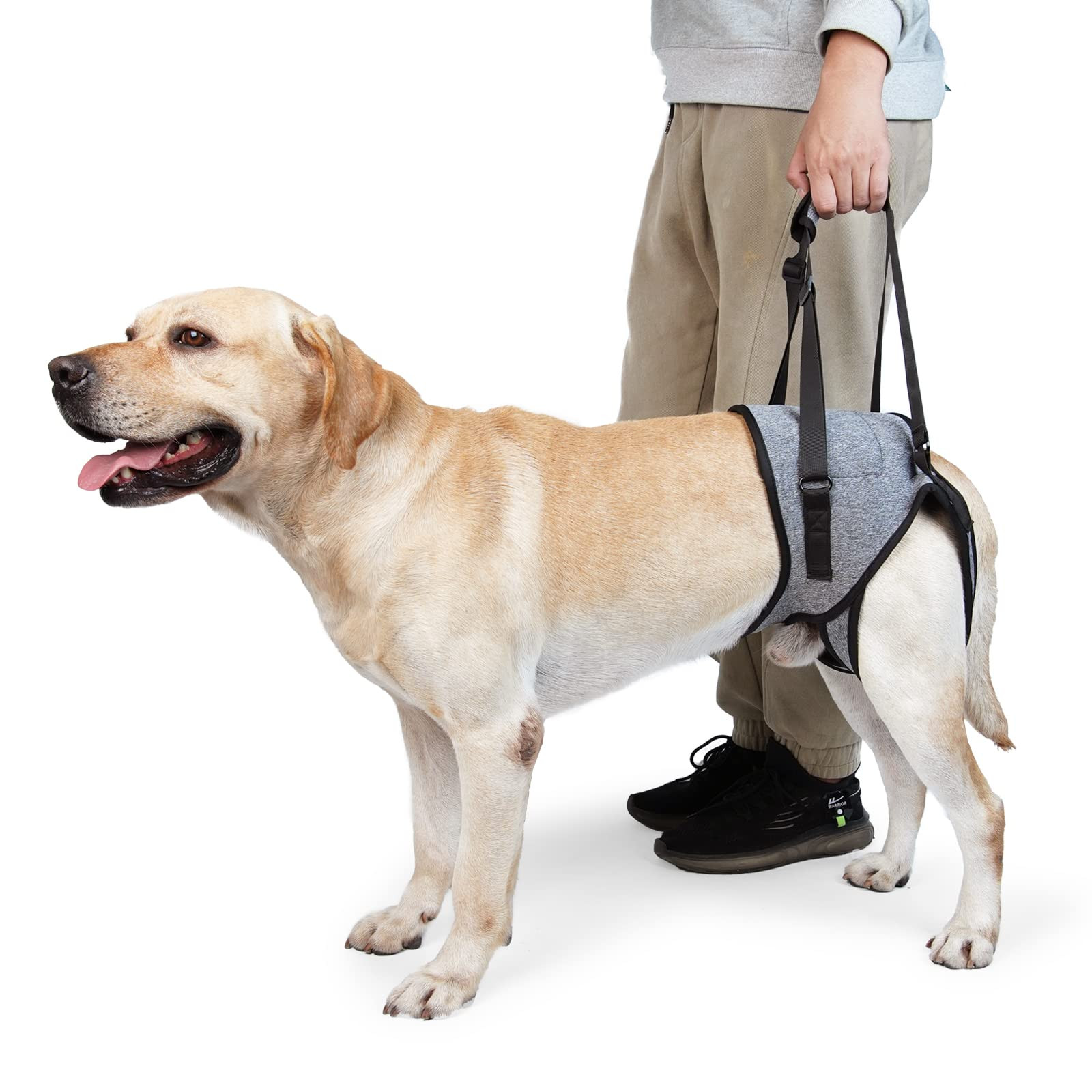 Dog Support Harness Sling - Grey S-image-a0067e54-6a58-4c0f-a1fb-5ae2e1f1a4ce-4534