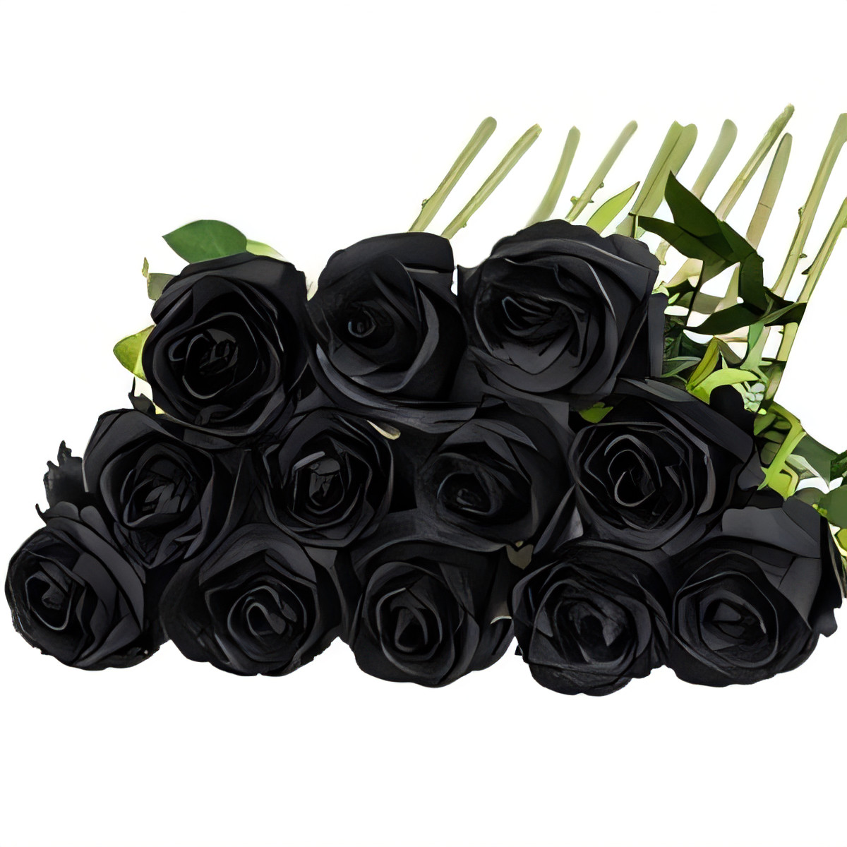 12pcs Black Artificial Roses Bouquet-image-3a0bfd64-6787-4b89-ad44-15c65ec9e25d-61647