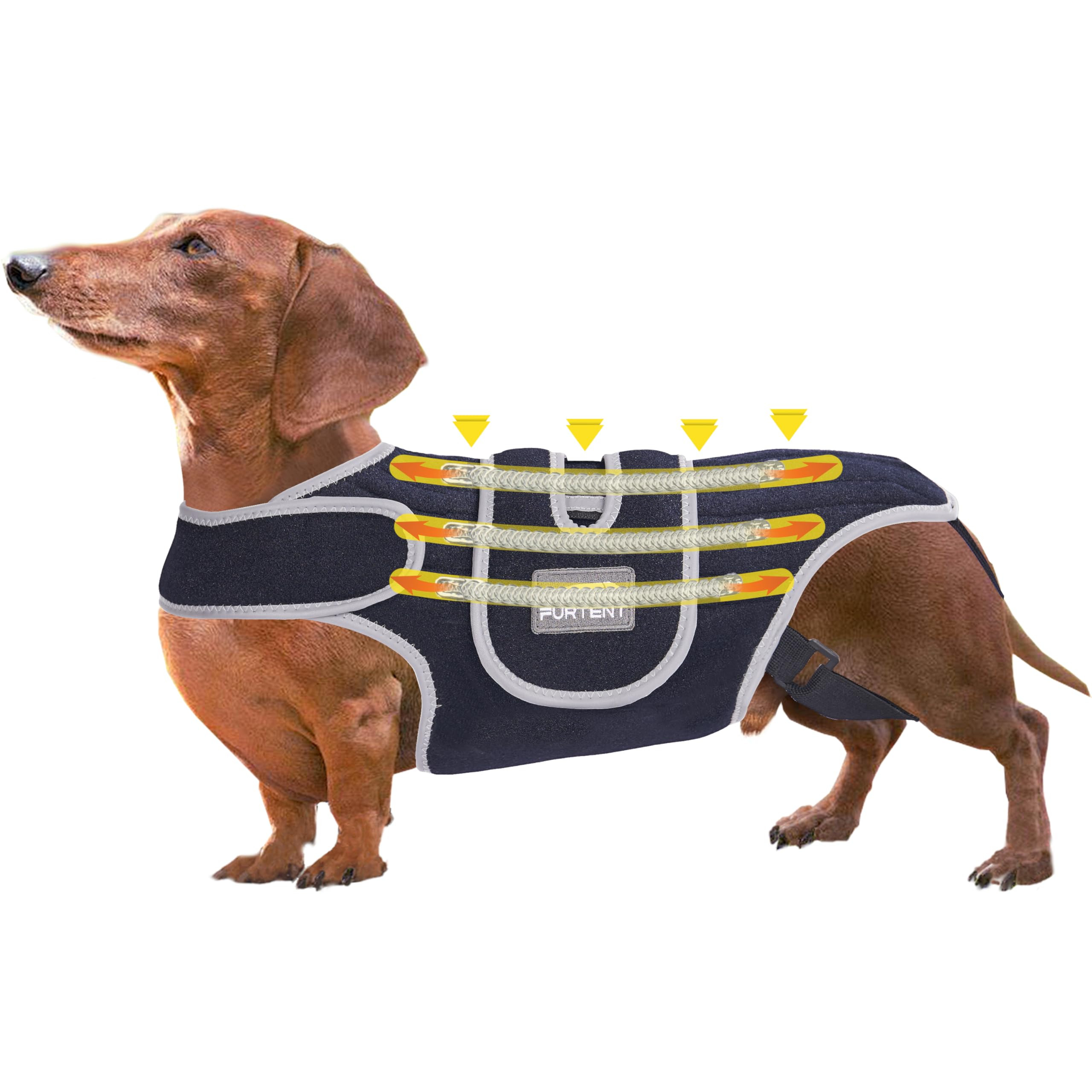 Dog Back Brace for IVDD Recovery - Black Small-image-4902b6ef-13df-4d5c-b1be-fc64e9739da0-137504