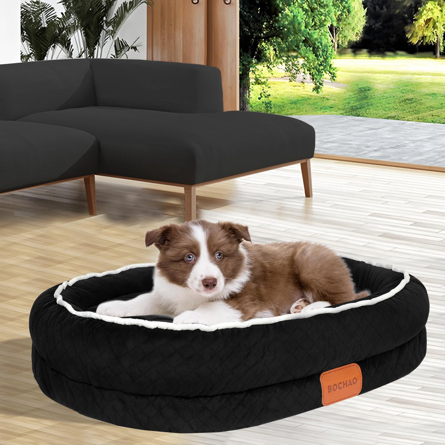 Orthopaedic Memory Foam Dog Bed - Black M-L-image-97aa7252-5eb5-49c5-b109-2f0088d15e1f-2493