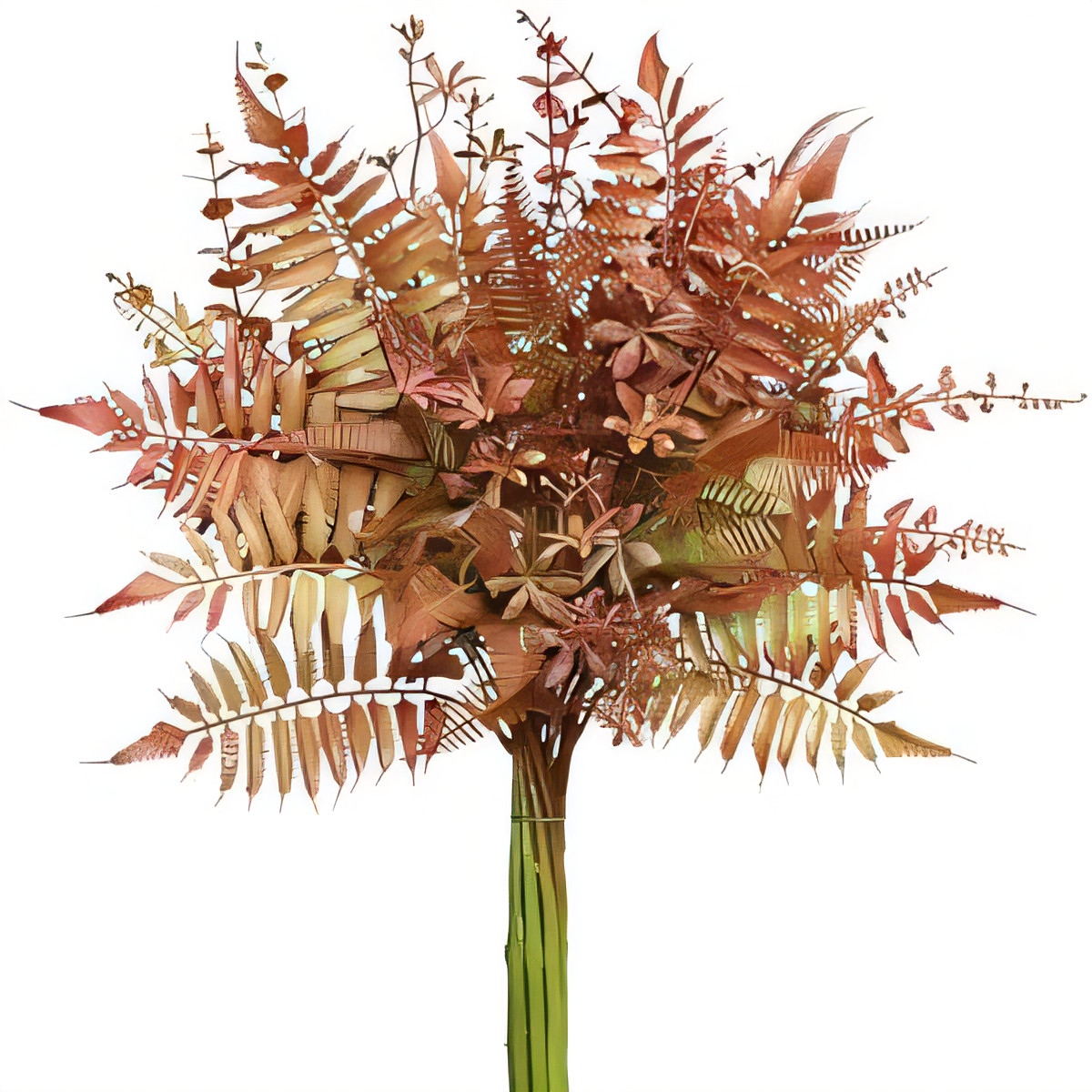 10pcs Artificial Fern Eucalyptus Stems Faux Greenery-image-fbc7ffc4-b859-4e02-9471-569731f11f05-66065
