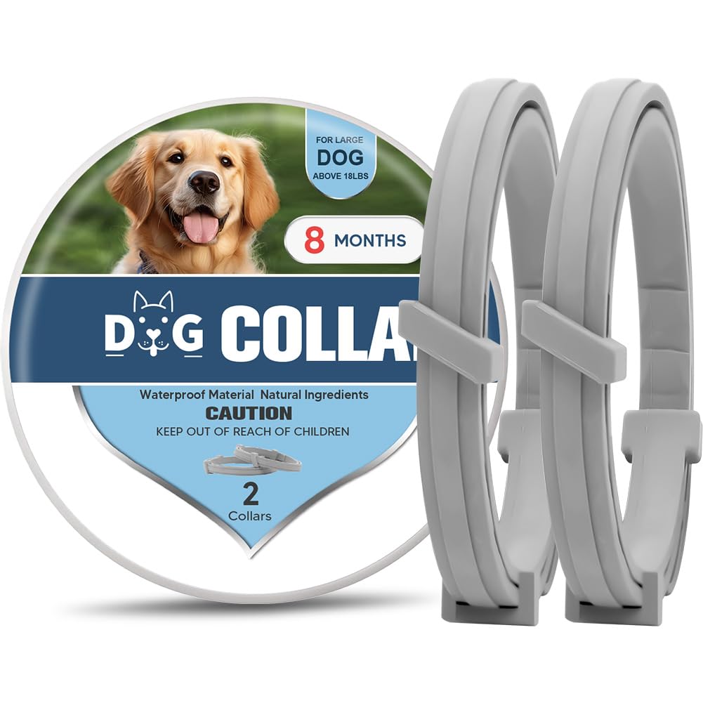 Adjustable Dog Collar Durable - Dog Collar2 Medium-image-b836f14c-f9f1-4d99-8c08-d419ffd98aac-113589